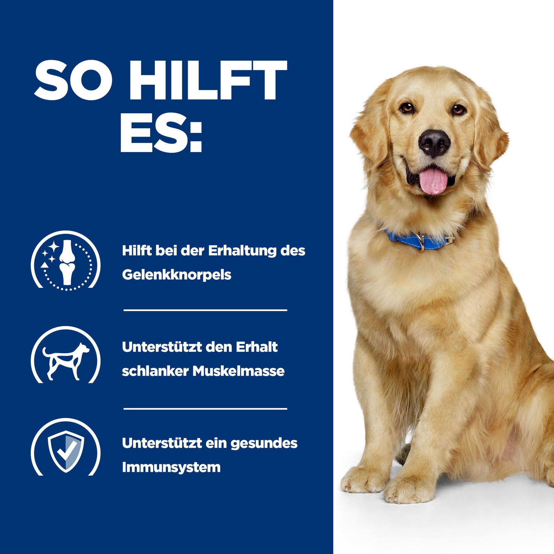 j/d Nassfutter für Hunde mit Huhn Wie es hilft