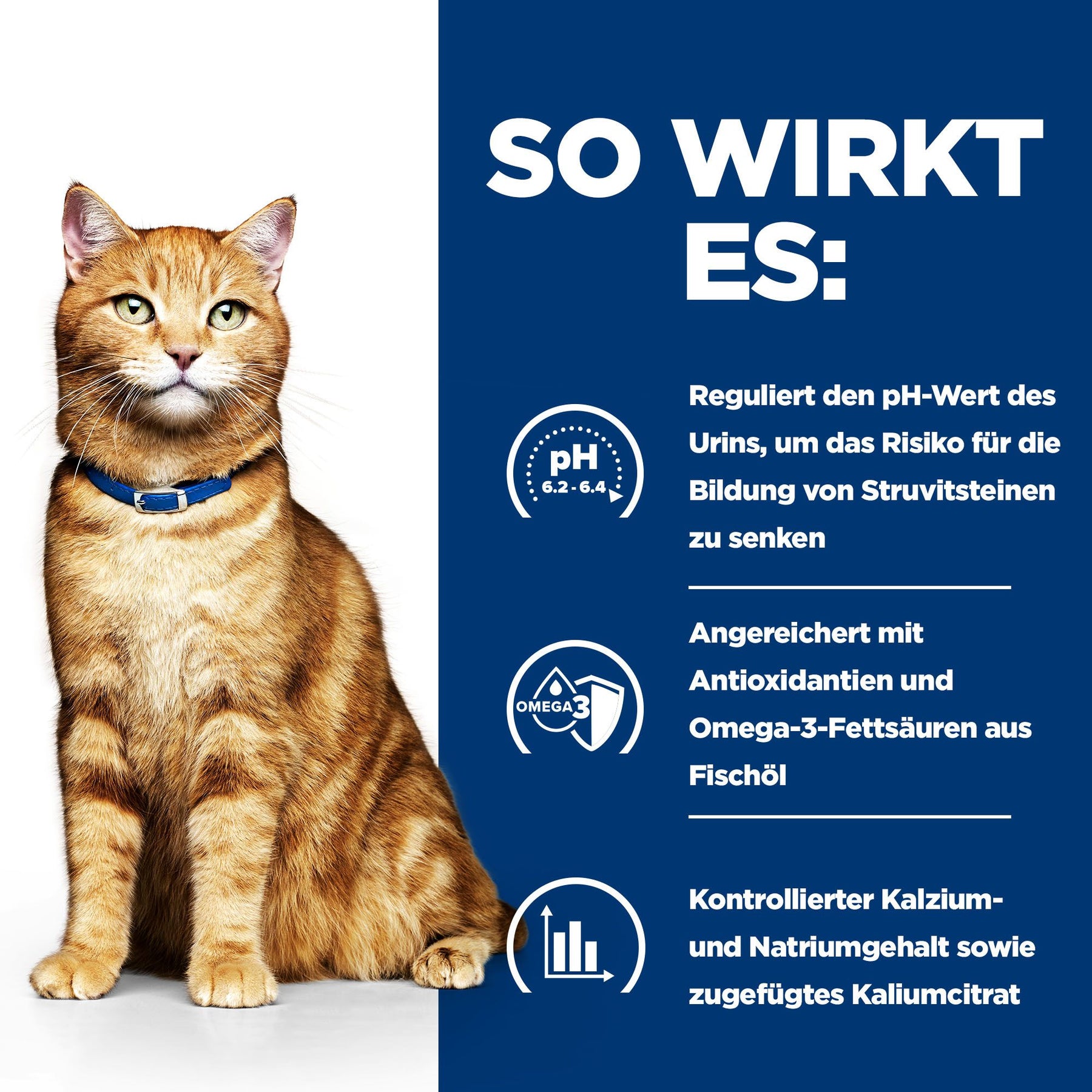 c/d Multicare Katzen Nassfutter Wie es hilft