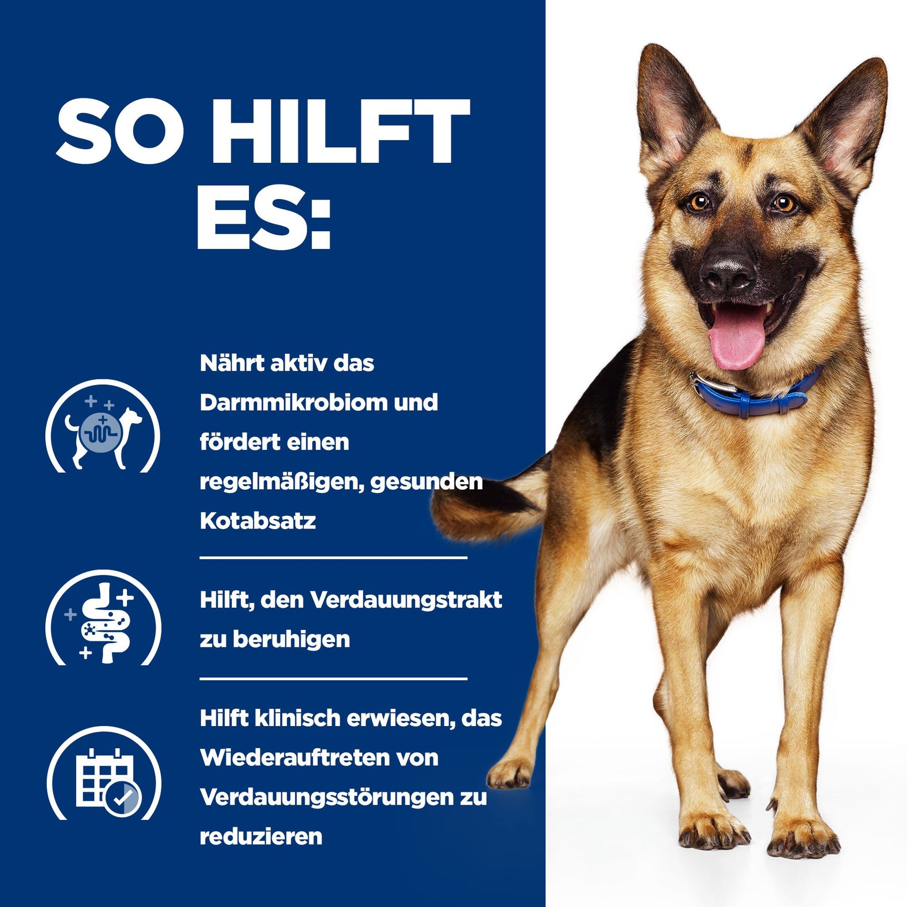 Gastrointestinal Biome Hundefutter Wie es hilft