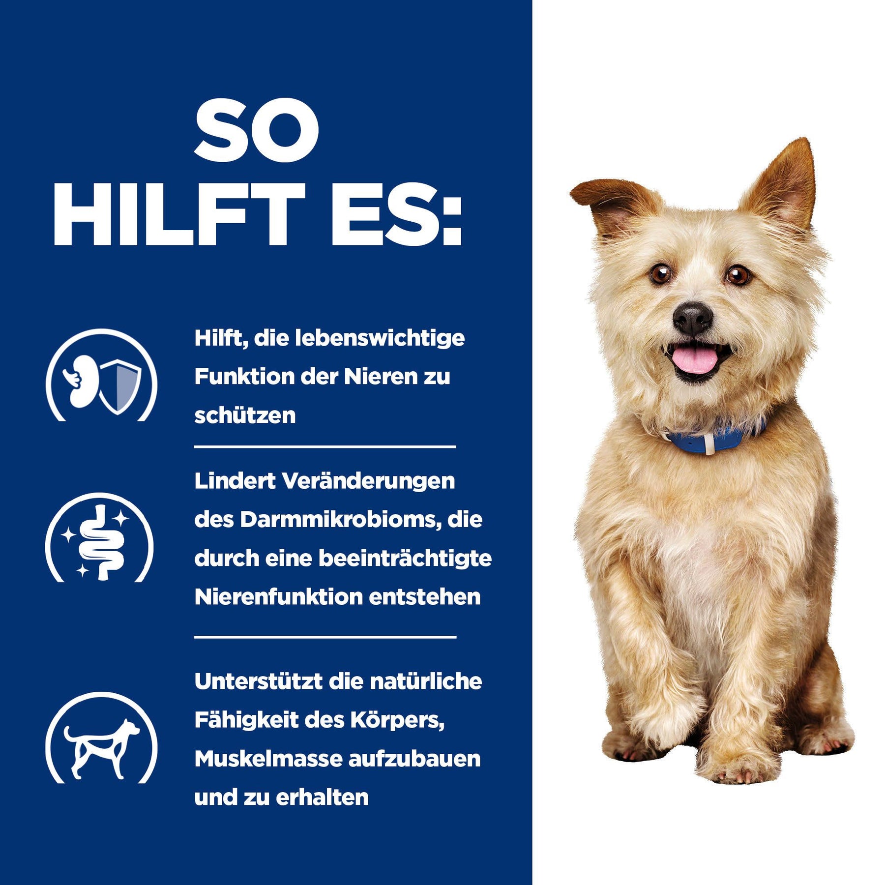 k/d Hunde Ragout mit Huhn & Gemüse Wie es hilft