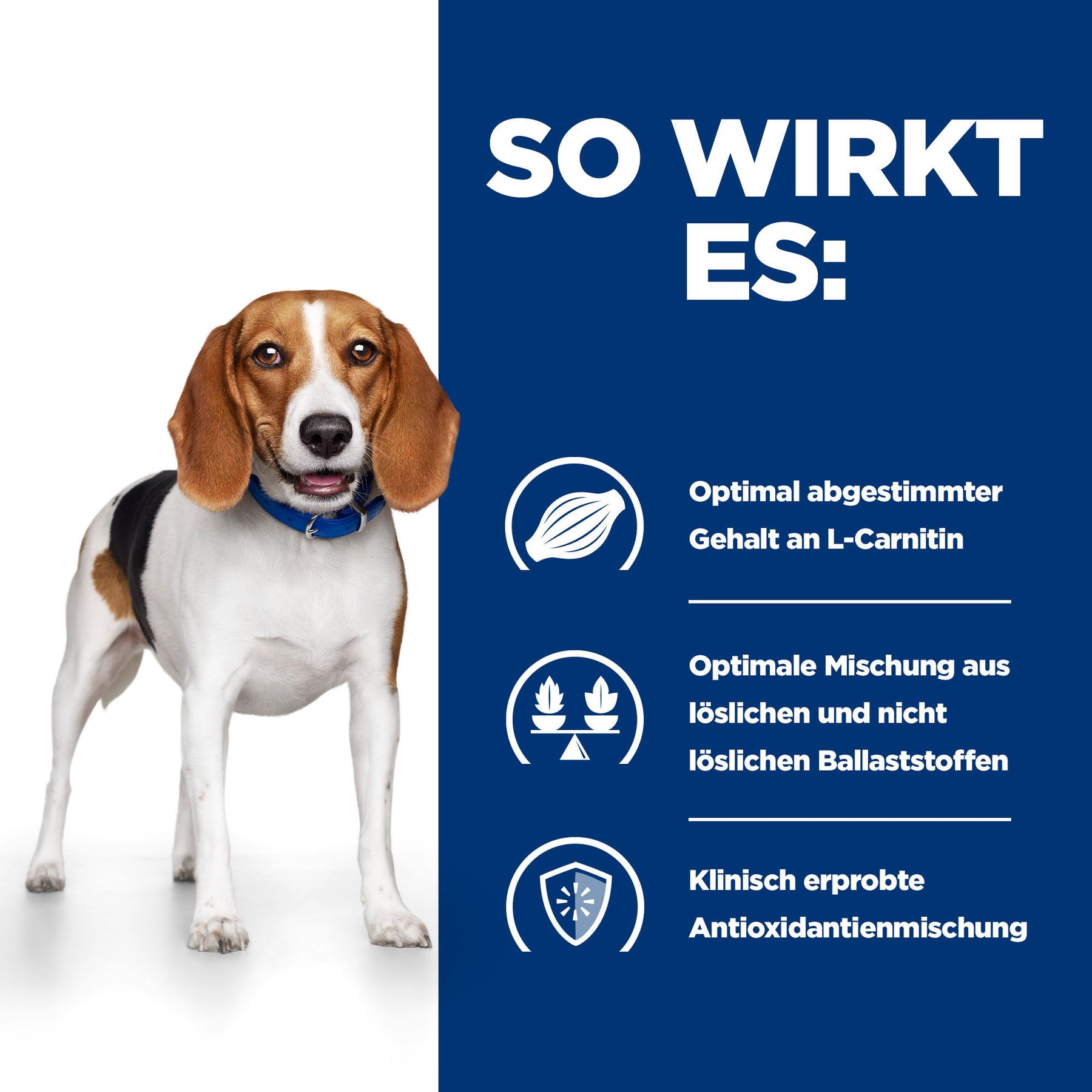 r/d Trockenfutter für Hunde mit Huhn Wie es wirkt