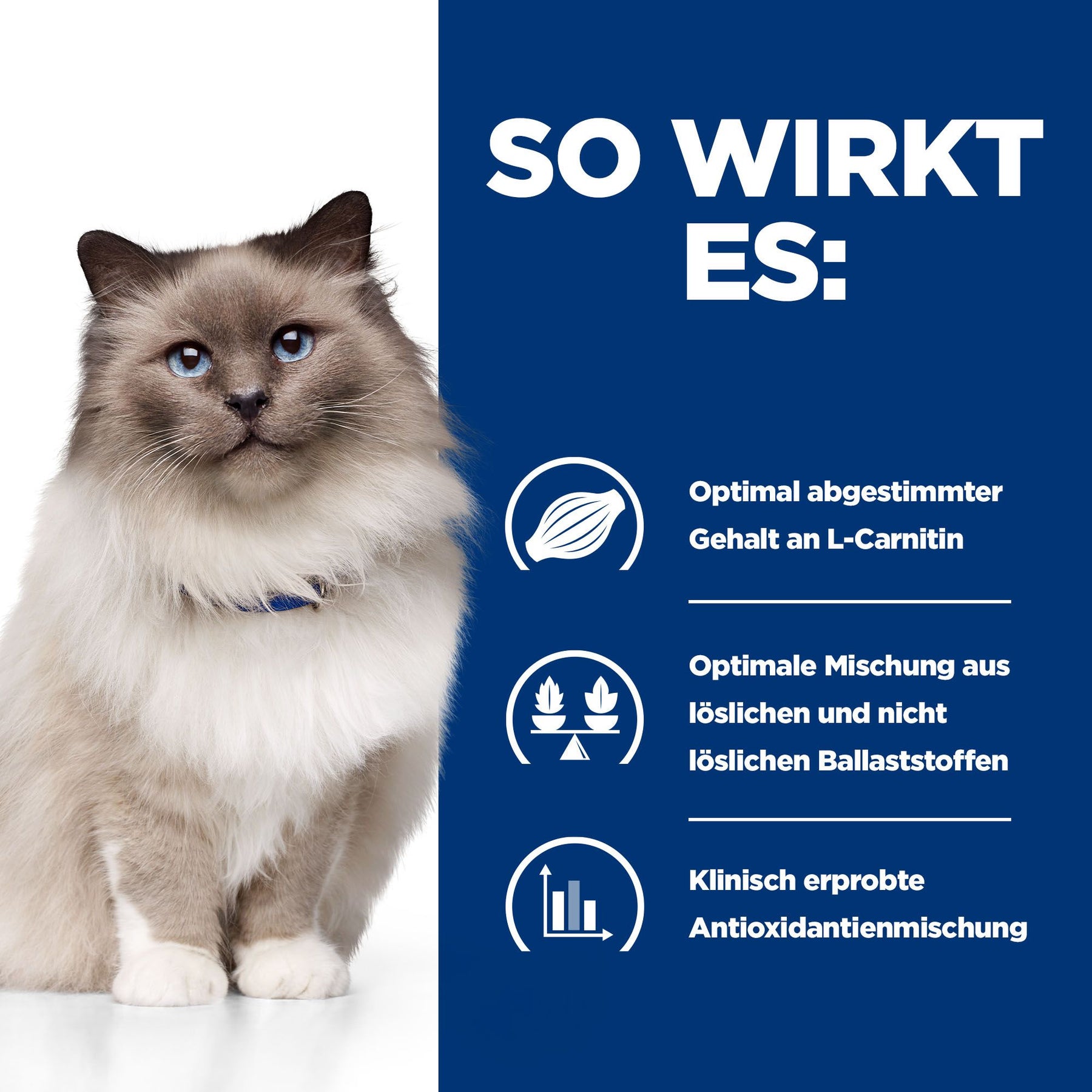 r/d Katzen Trockenfutter mit Huhn Wie es wirkt