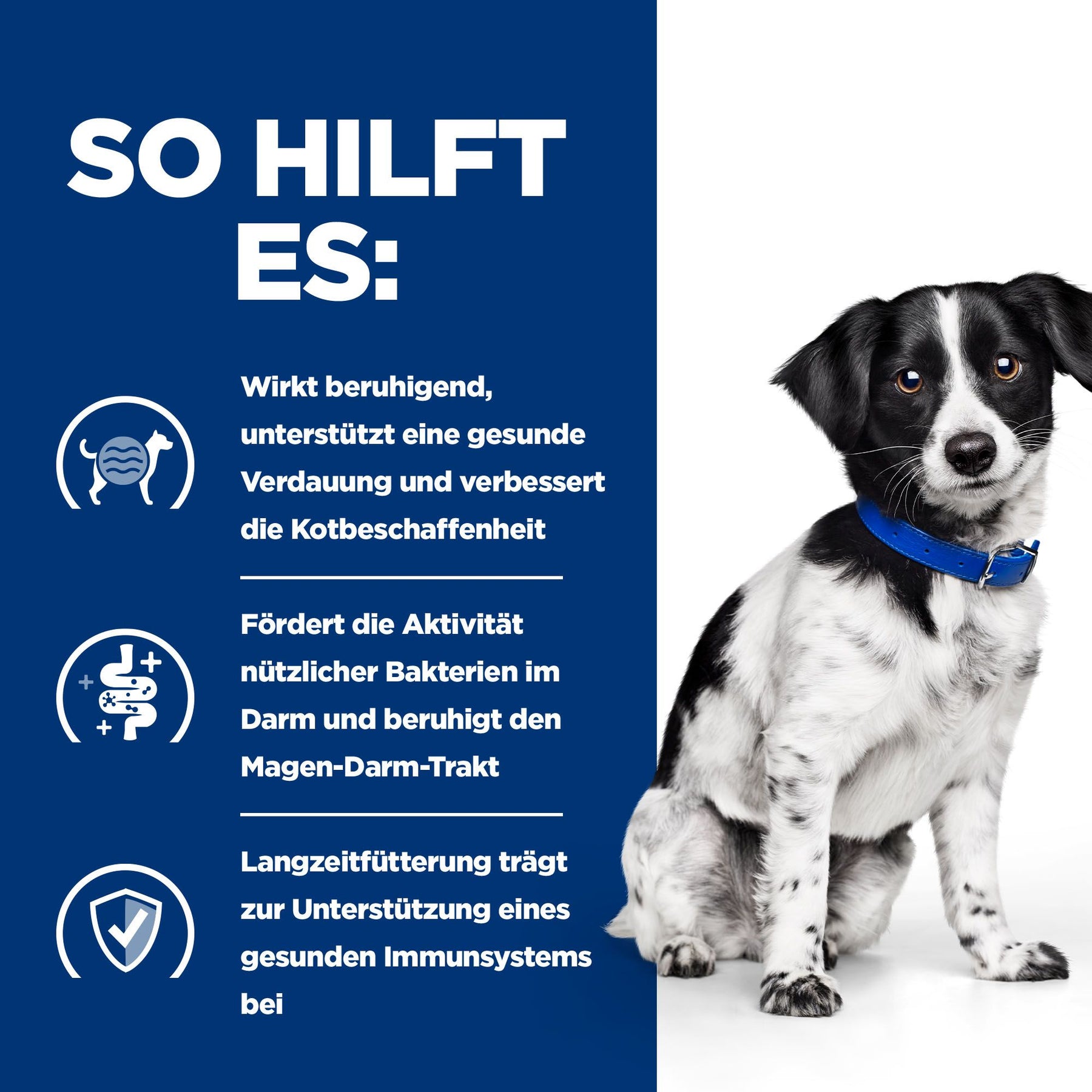 i/d Stress Mini Hundefutter Huhn Wie es hilft