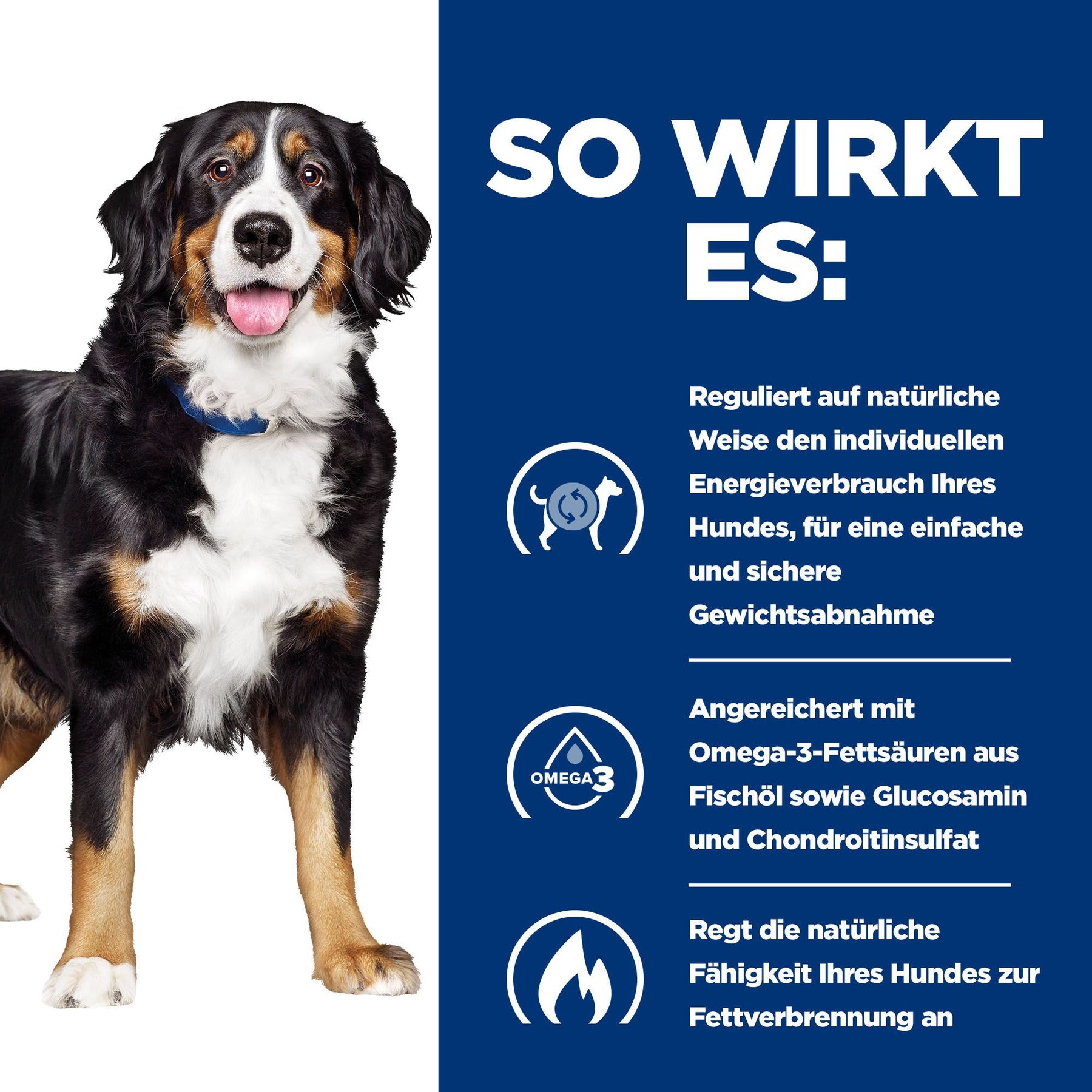 Metabolic + Mobility Nassfutter für Hunde Original Wie es hilft