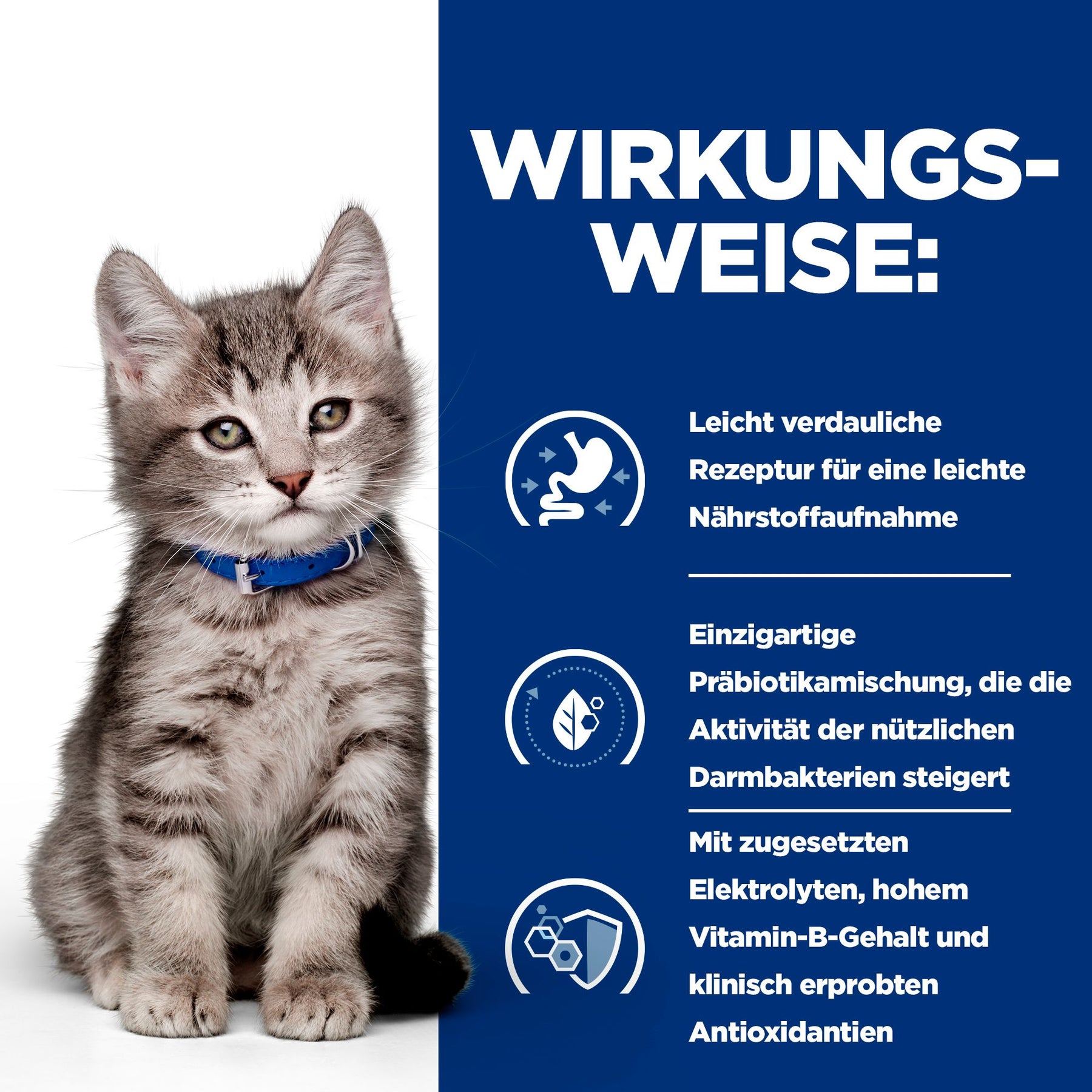 i/d Kätzchenfutter Wie es wirkt