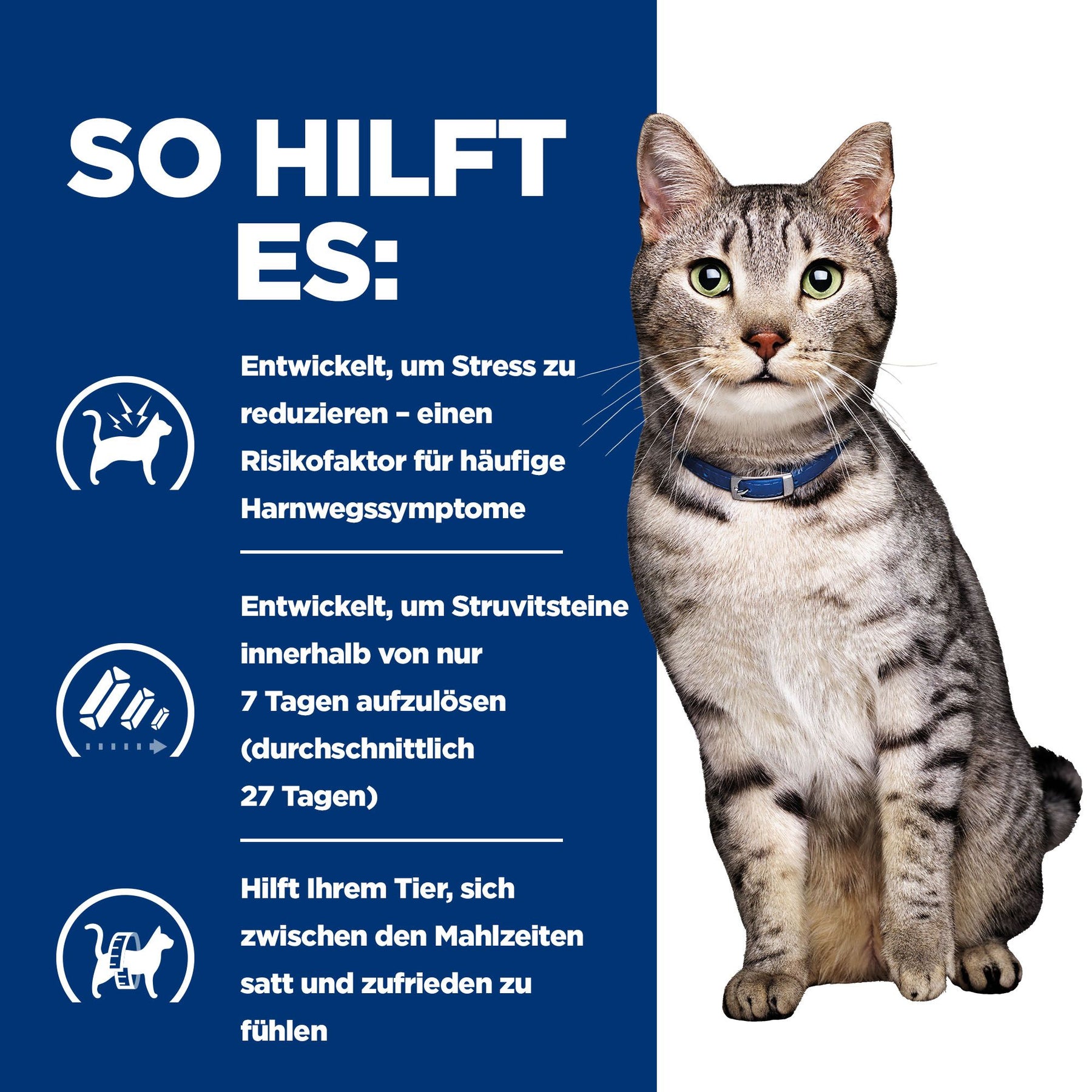 c/d Multicare Stress + Metabolic Katzenfutter mit Huhn Wie es hilft