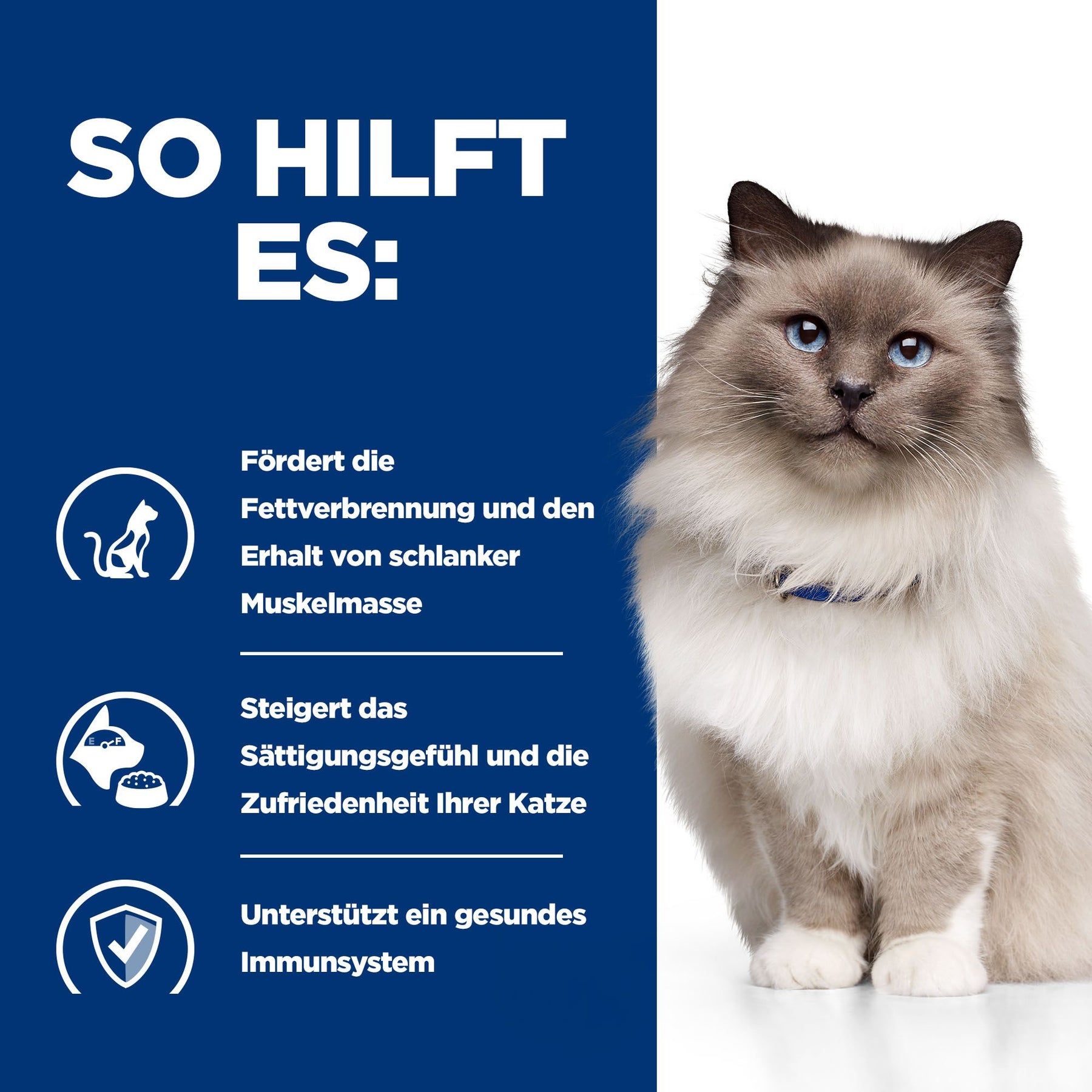 r/d Katzen Trockenfutter mit Huhn Wie es hilft