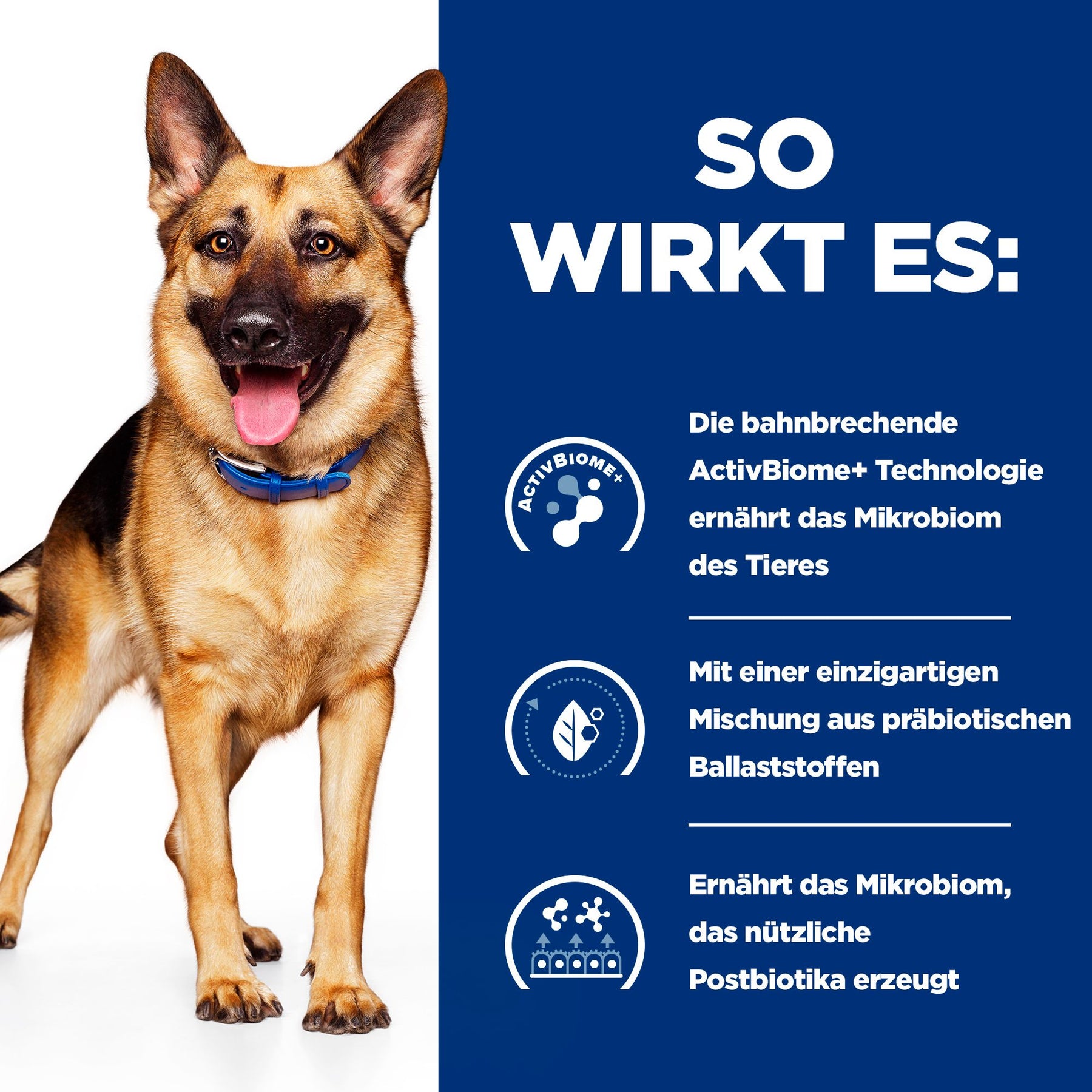 Gastrointestinal Biome Nassfutter für Hunde mit Huhn Wie es wirkt