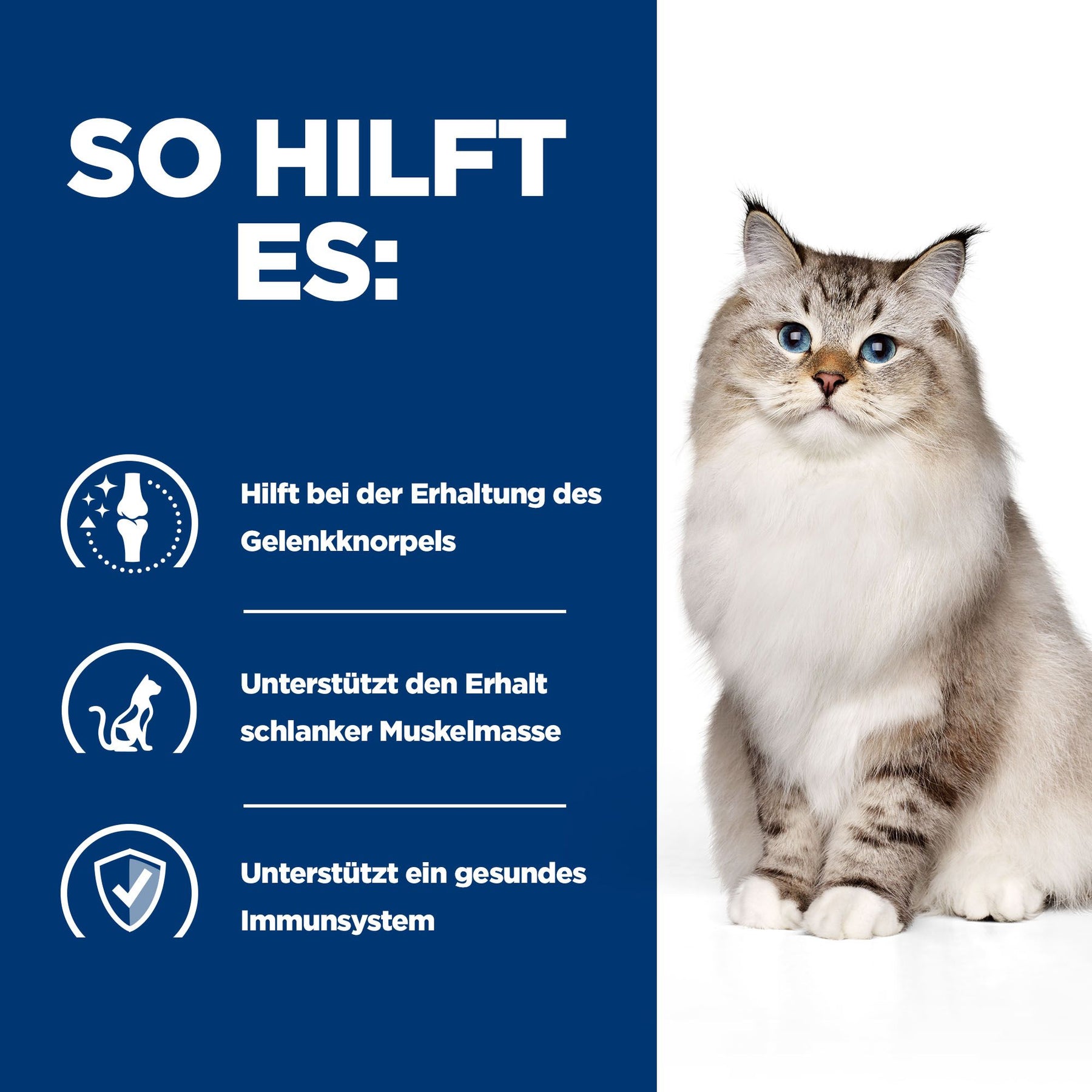 j/d Katzen Trockenfutter mit Huhn Wie es hilft