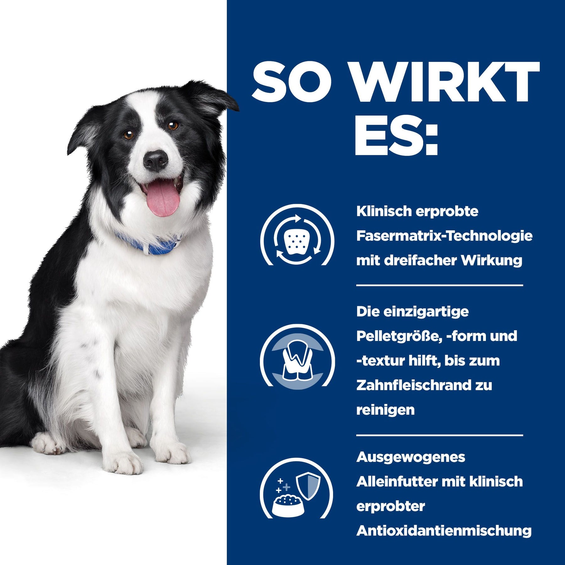 t/d Trockenfutter für Hunde mit Huhn Wie es wirkt