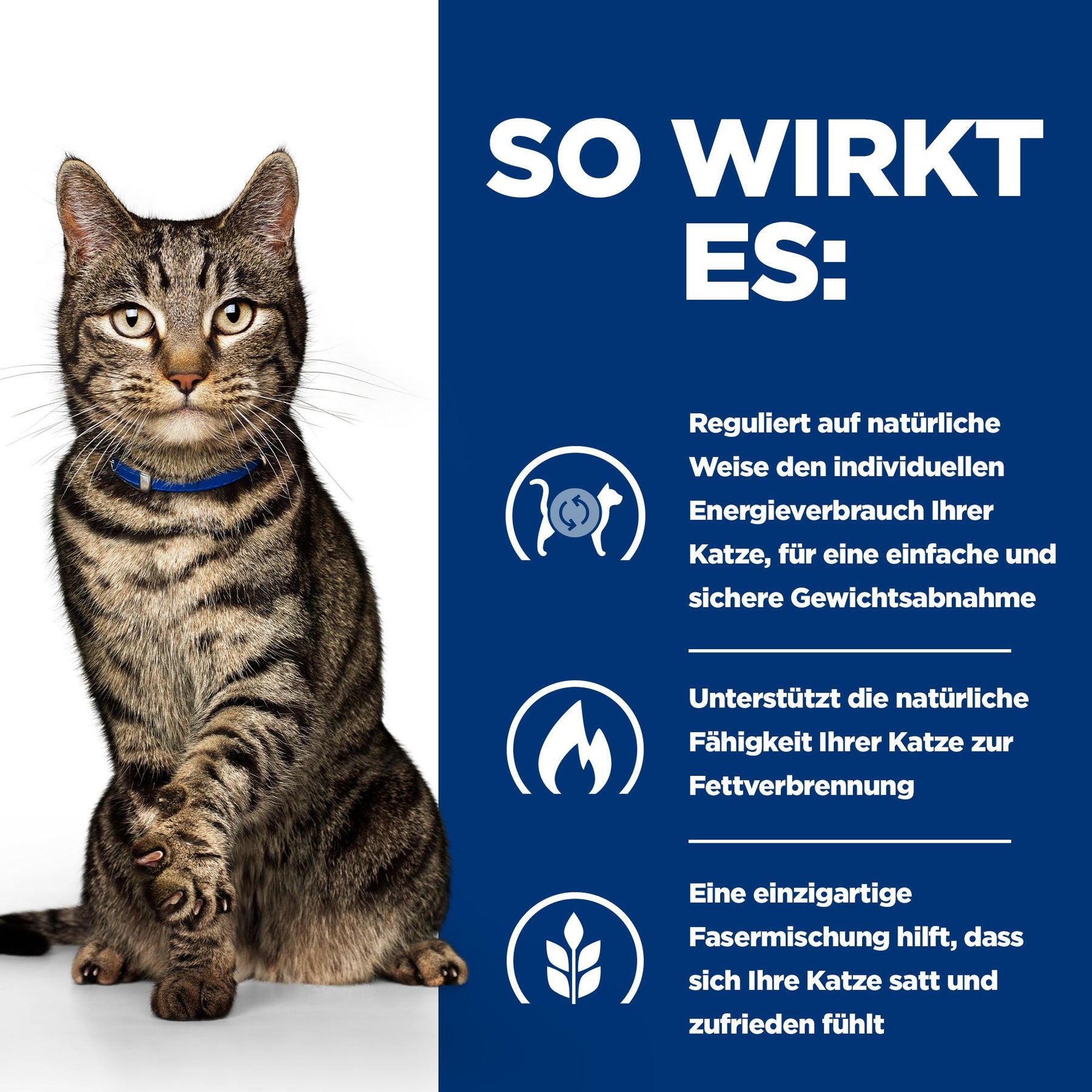 Hill's Prescription Diet Metabolic Nassfutter für Katzen mit Meeresfiscch