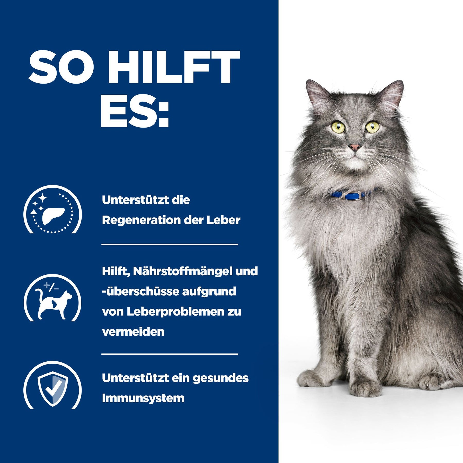 l/d Katzen Trockenfutter mit Huhn Wie es hilft