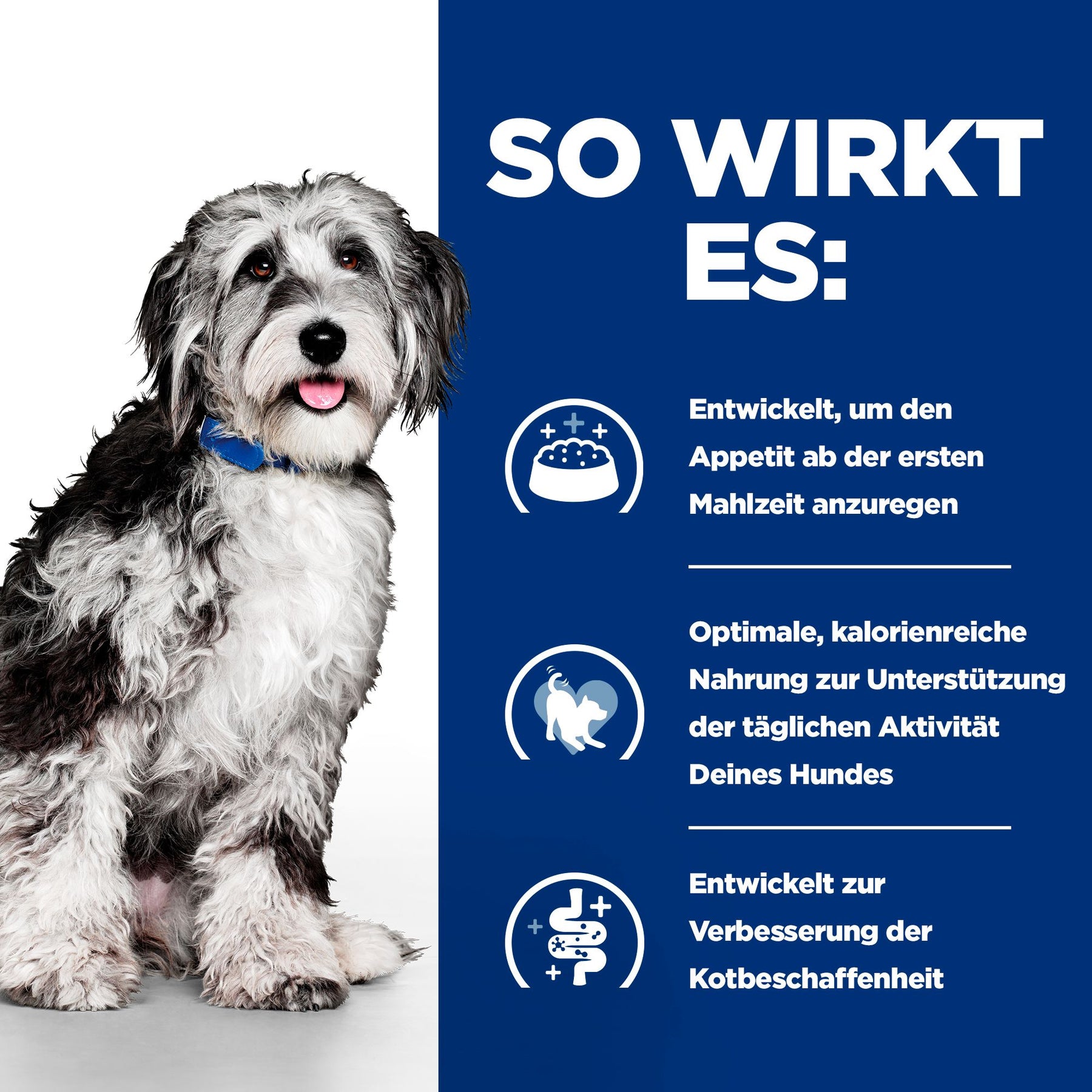 ON-Care Hunde Trockenfutter mit Huhn Wie es wirkt