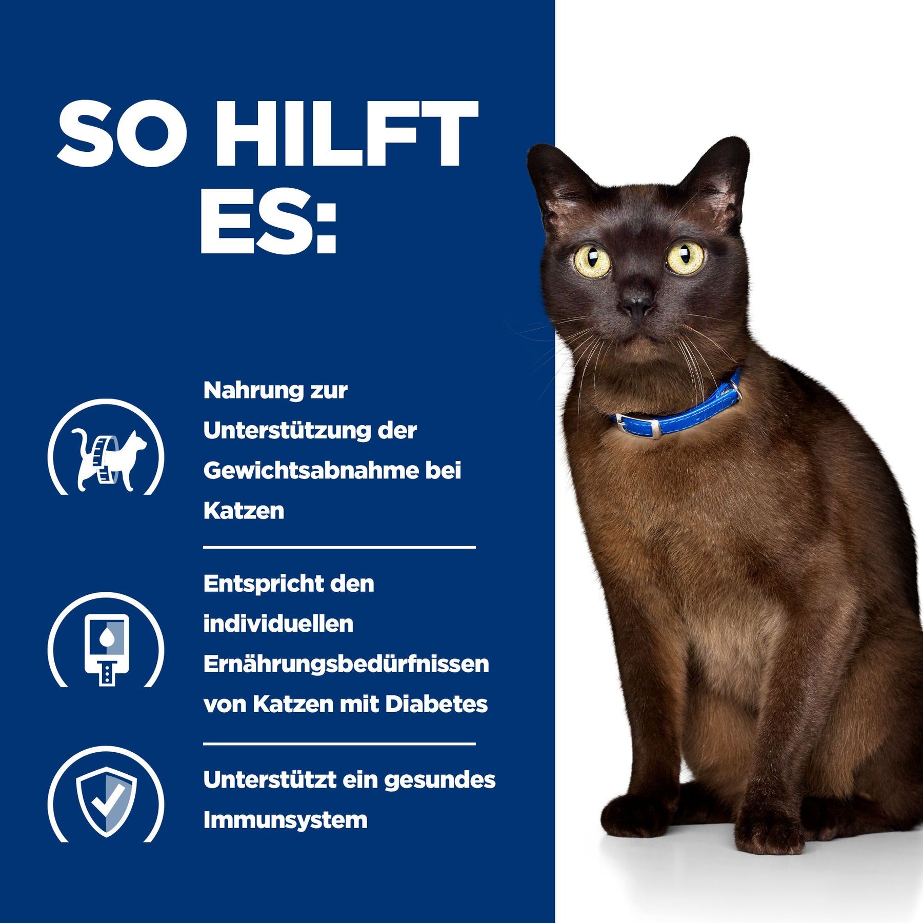 m/d Nassfutter für Katzen mit Huhn Wie es hilft