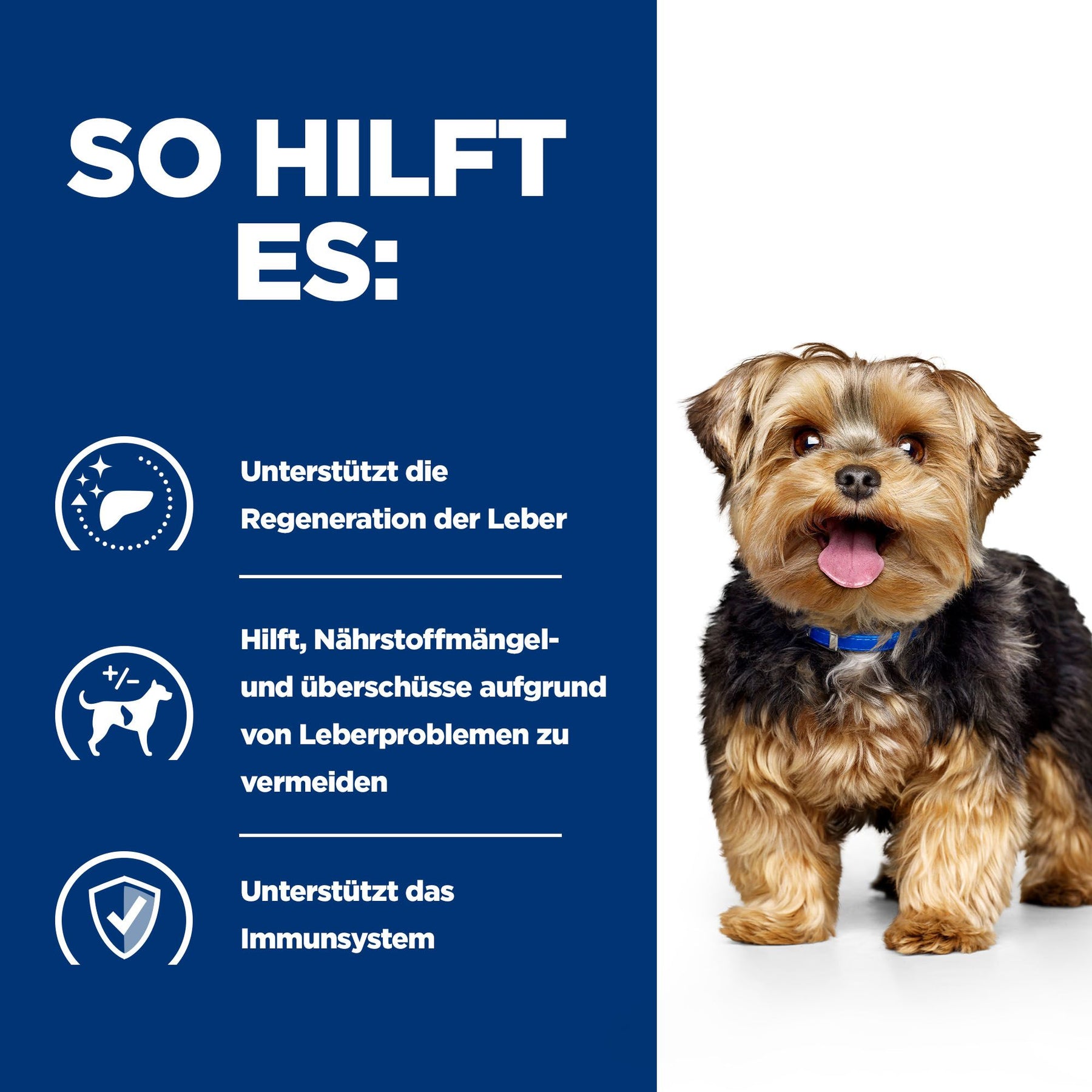l/d Trockenfutter für Hunde Original Wie es hilft