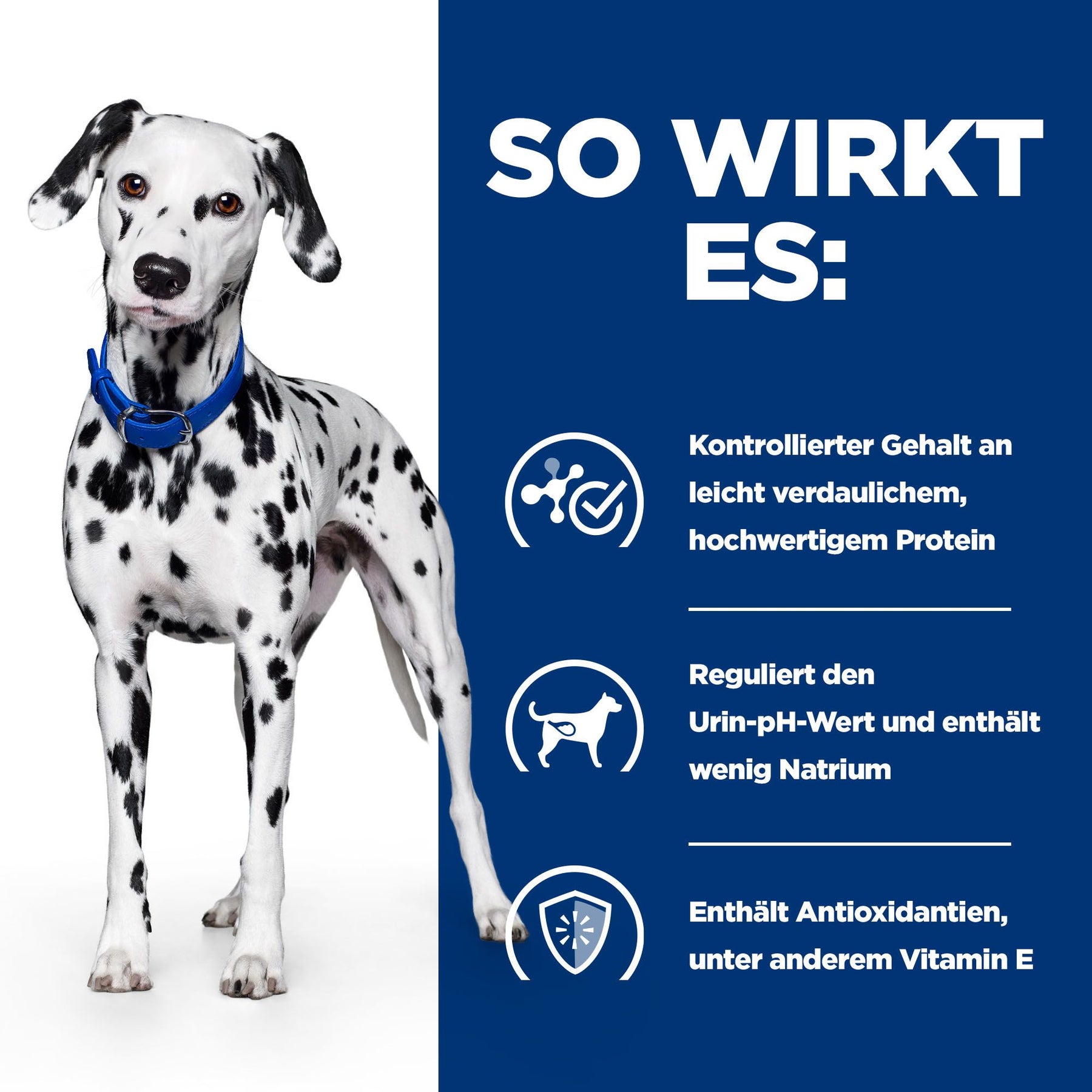 u/d Nassfutter für Hunde Original Wie es wirkt