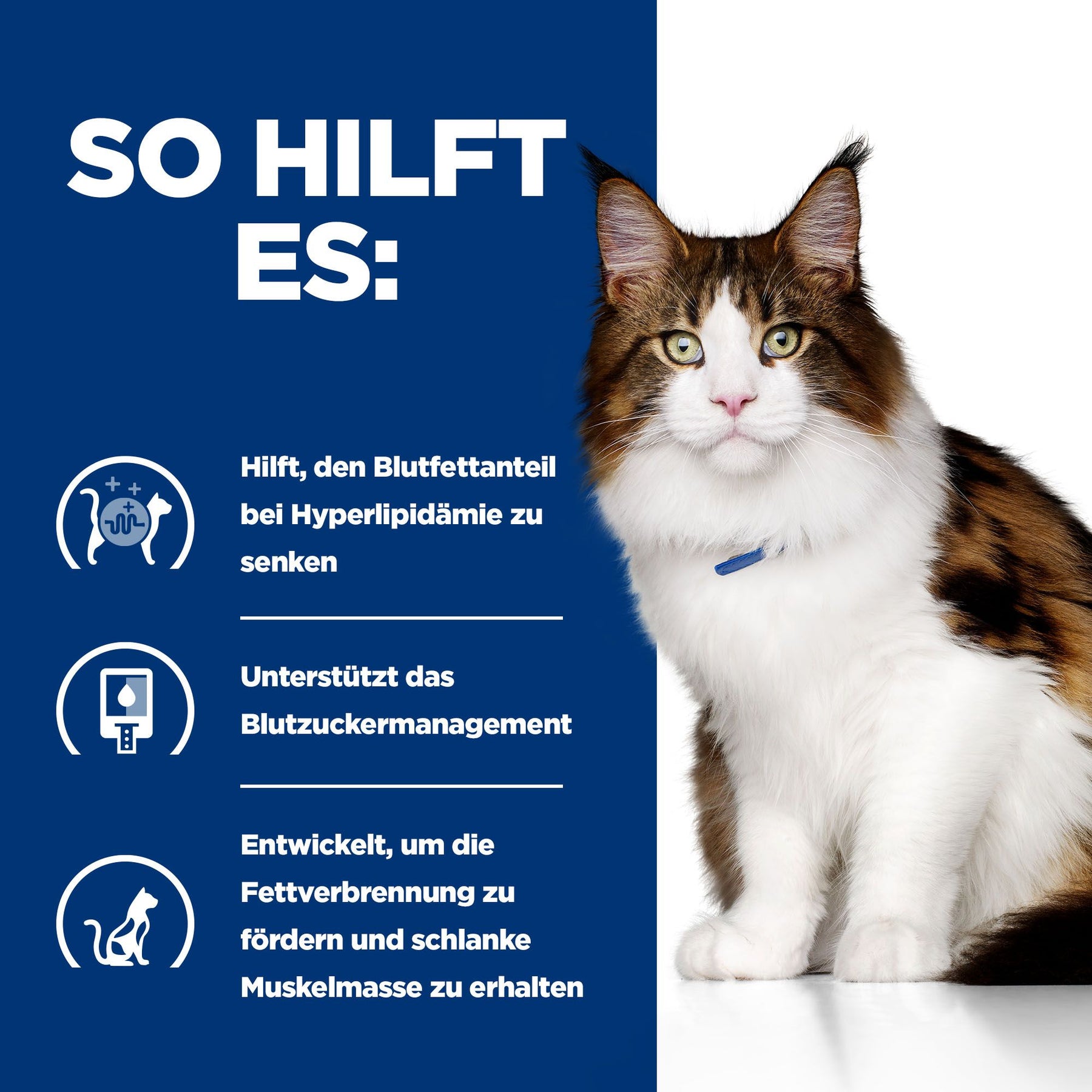 Hill's Prescription Diet w/d MULTI-BENEFIT Katzenfutter mit Huhn