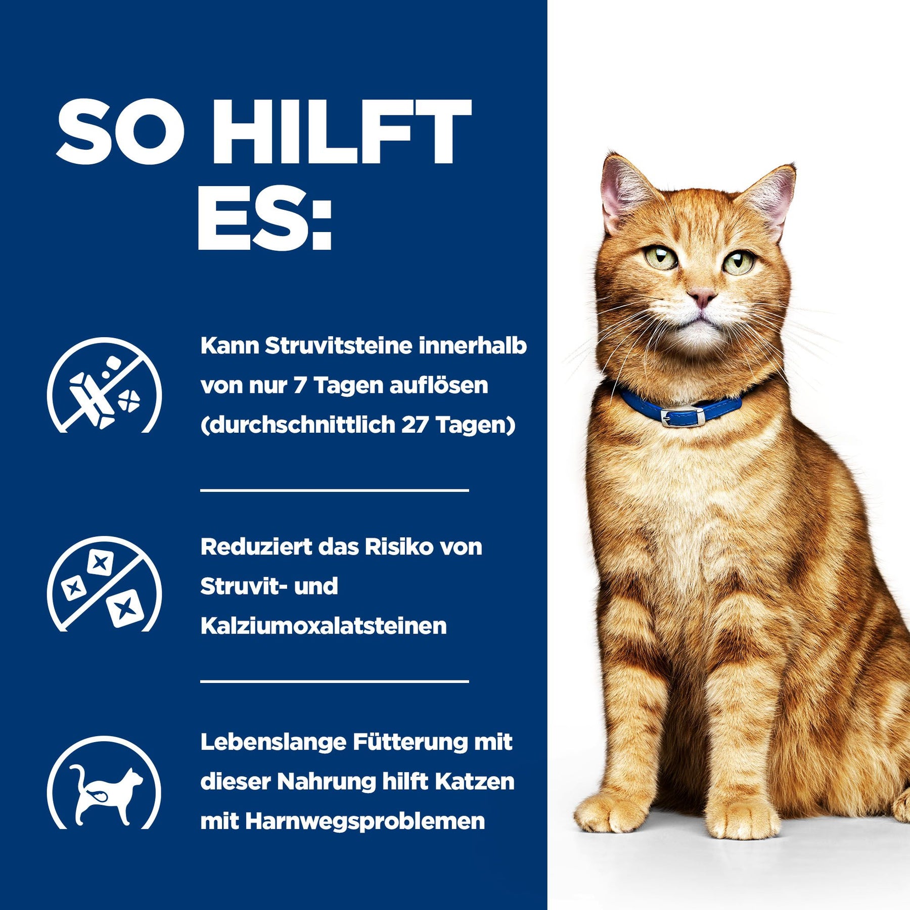 c/d Multicare Katzen Nassfutter Wie es hilft