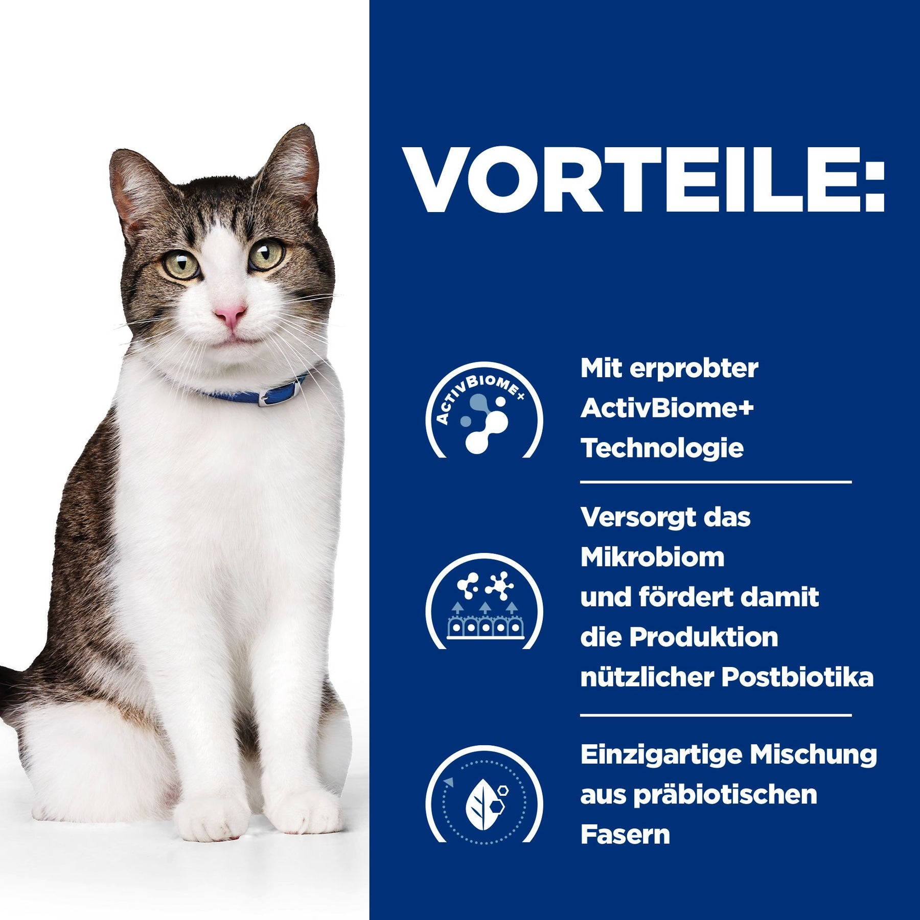 Gastrointestinal Biome Katzen Ragout Wie es wirkt