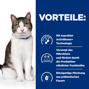 Gastrointestinal Biome Katzen Ragout Wie es wirkt