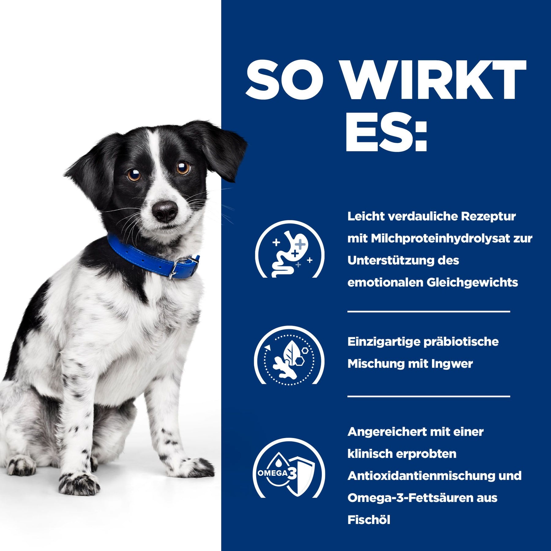 i/d Stress Mini Hundefutter Huhn Wie es wirkt