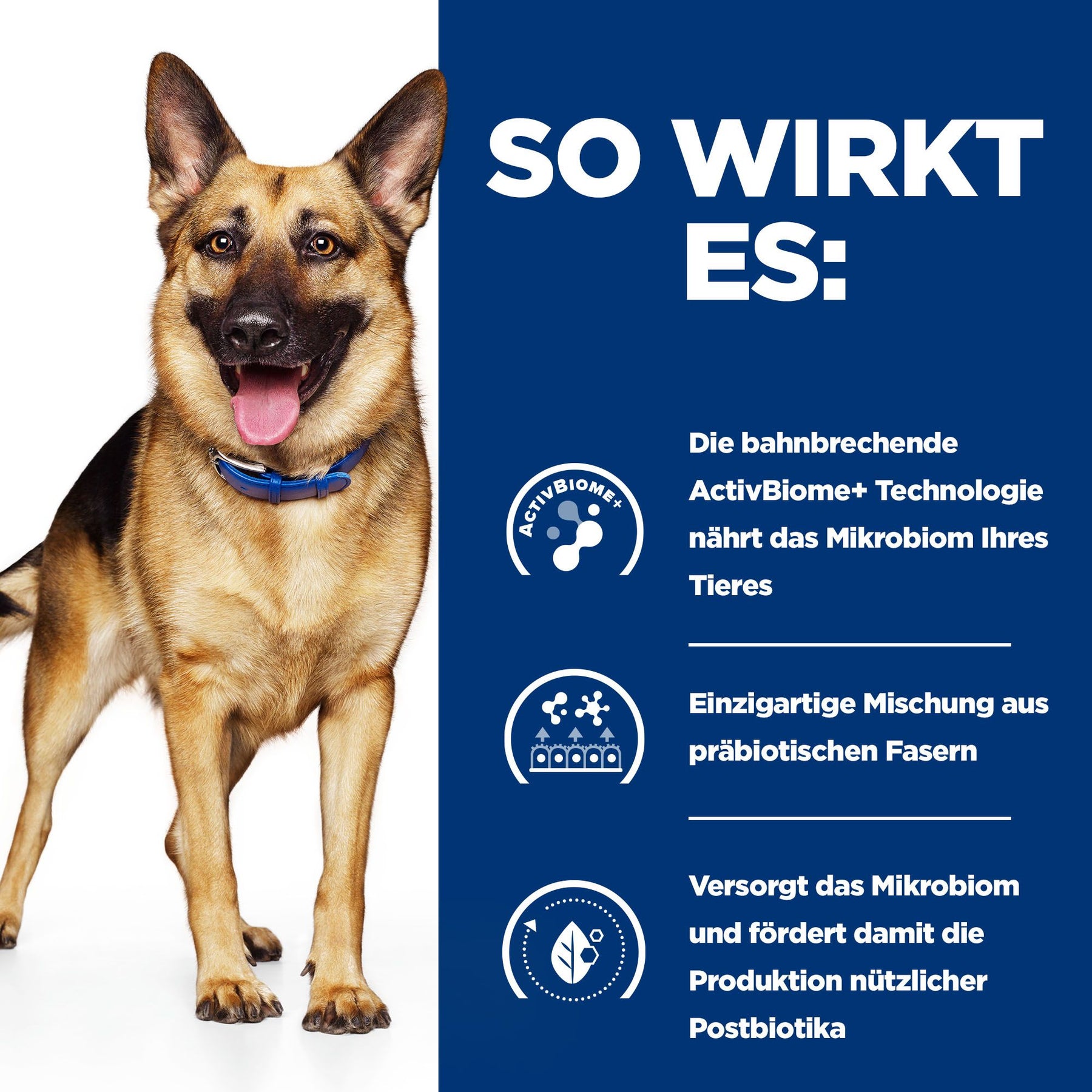 Gastrointestinal Biome Hunde Ragout Wie es wirkt