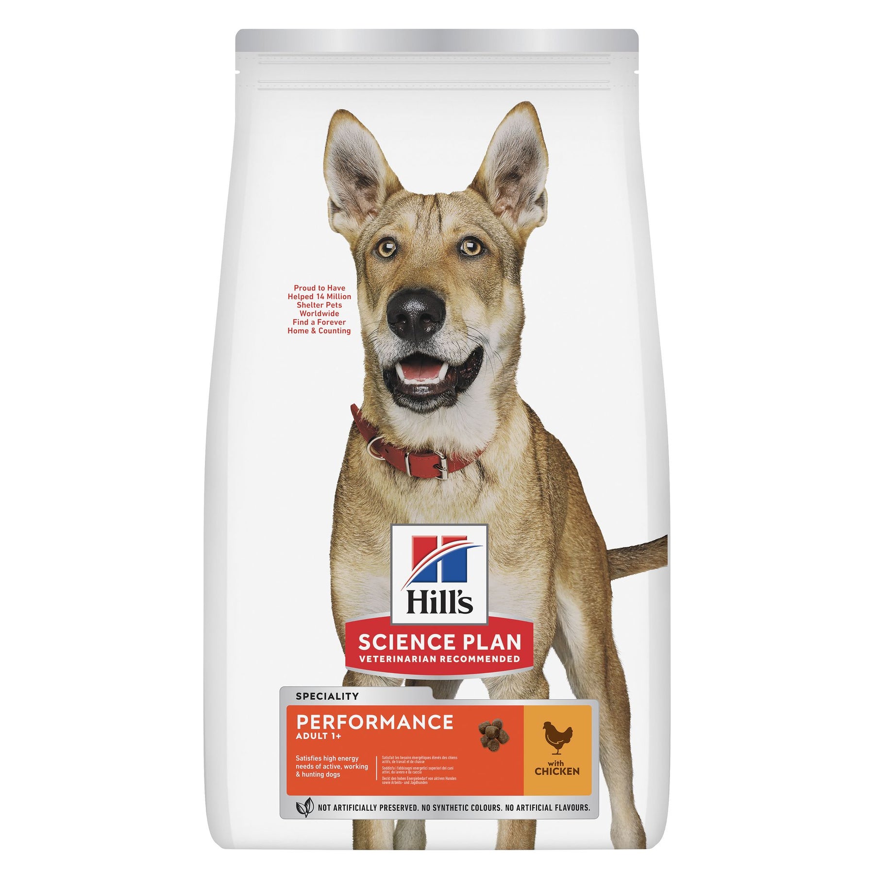 Performance Adult Hundefutter Huhn Packshot