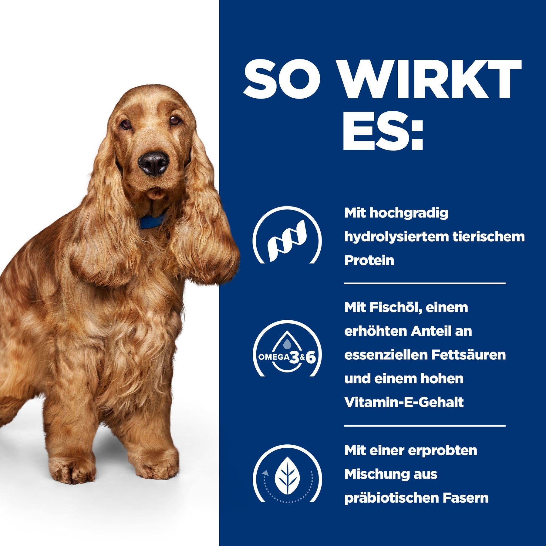 z/d Trockenfutter für Hunde Original Wie es wirkt