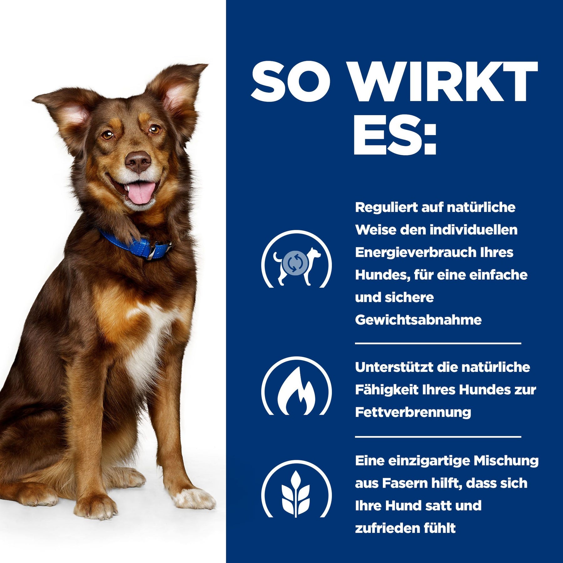 Metabolic Hunde Nassfutter mit Rind Wie es wirkt