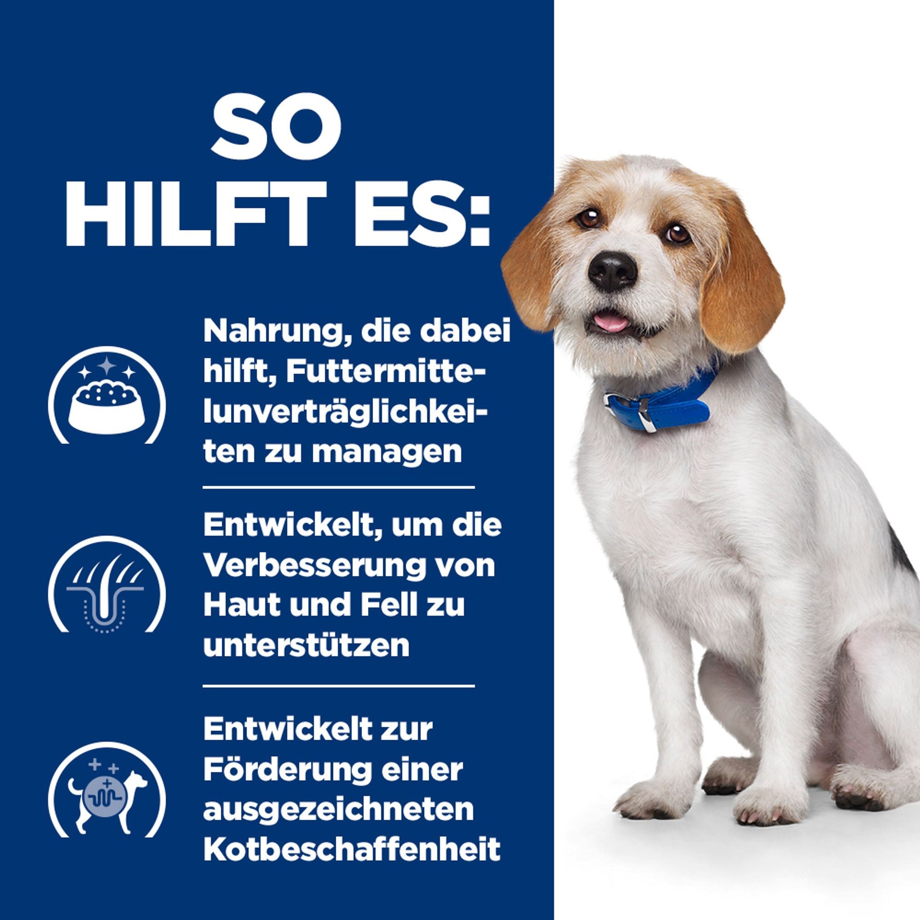 z/d Low Fat Hydrolysed Soy Wie es hilft