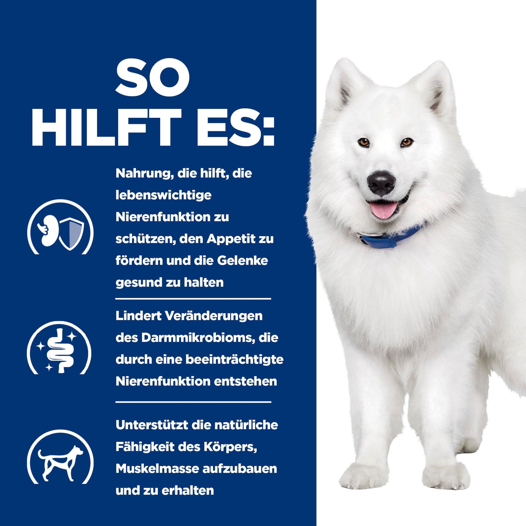 k/d + Mobility Hundefutter Original Wie es hilft