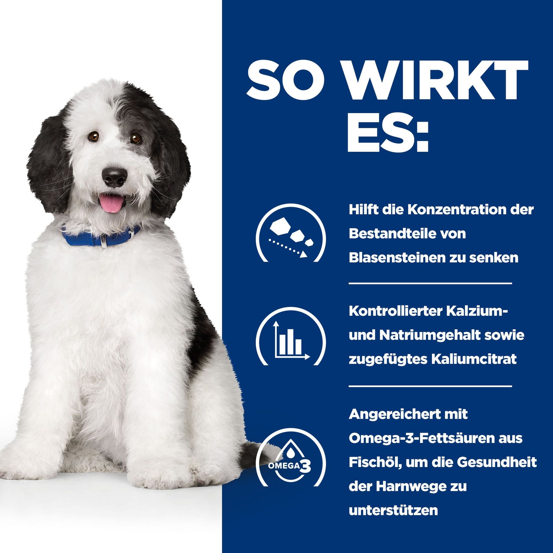 c/d Multicare Hunde Nassfutter Huhn Wie es wirkt