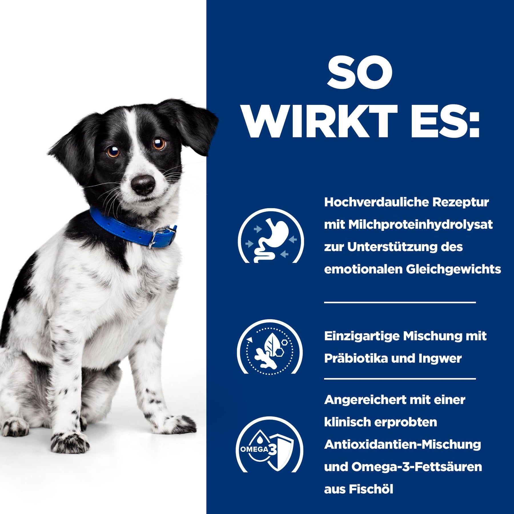 i/d Stress Mini Nassfutter für Hunde Wie es wirkt