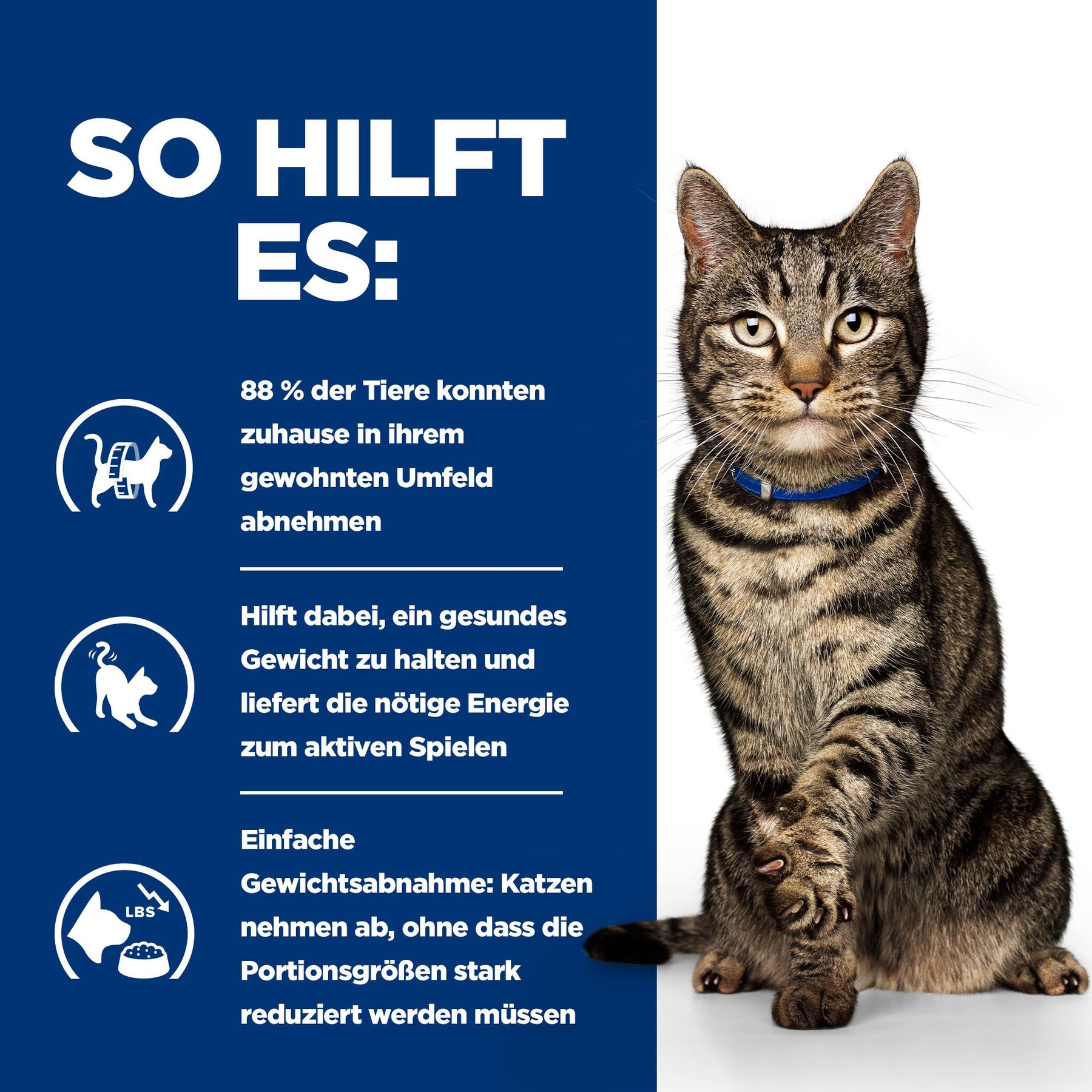 Metabolic Katzen Nassfutter mit Huhn Wie es hilft