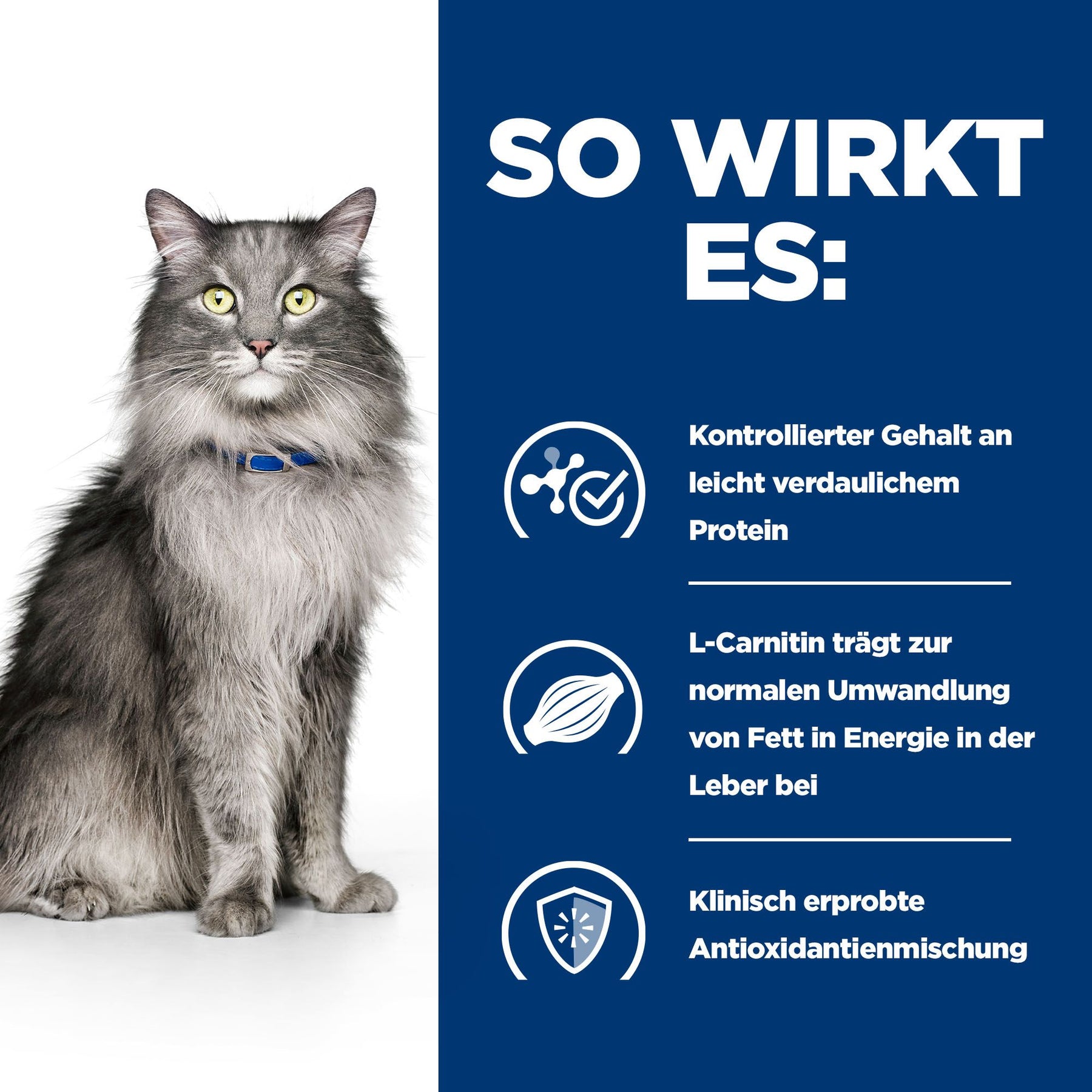 l/d Katzen Trockenfutter mit Huhn Wie es wirkt