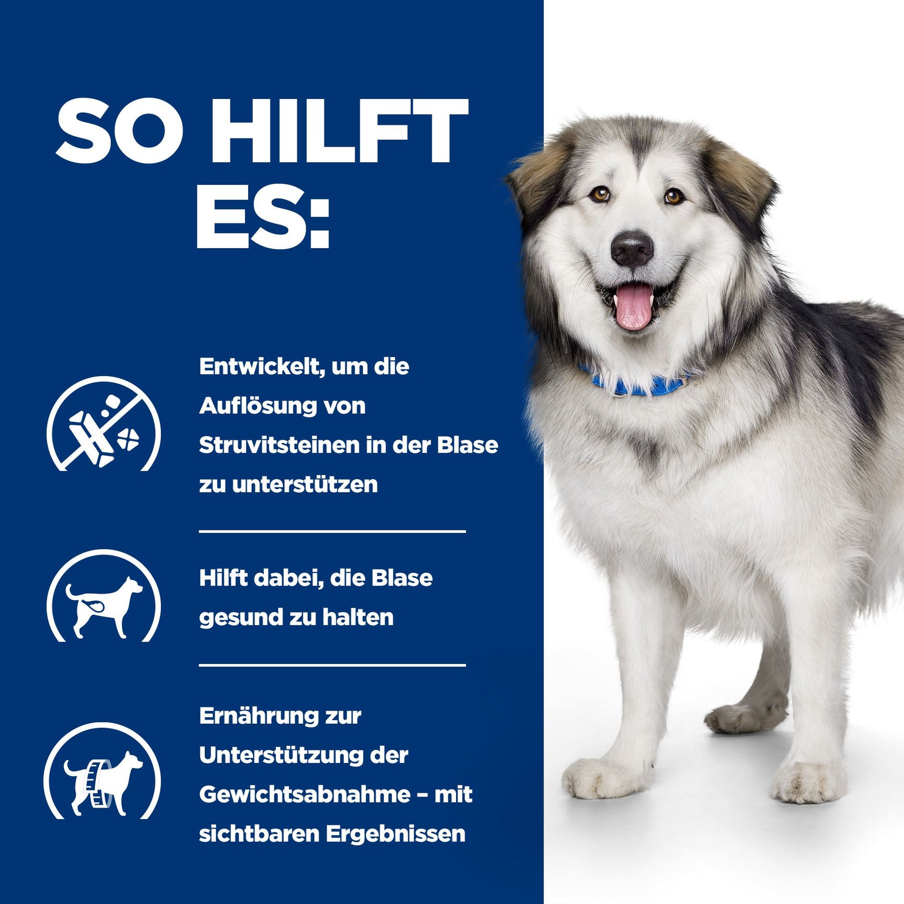 c/d Multicare+Metabolic Hundefutter Wie es hilft