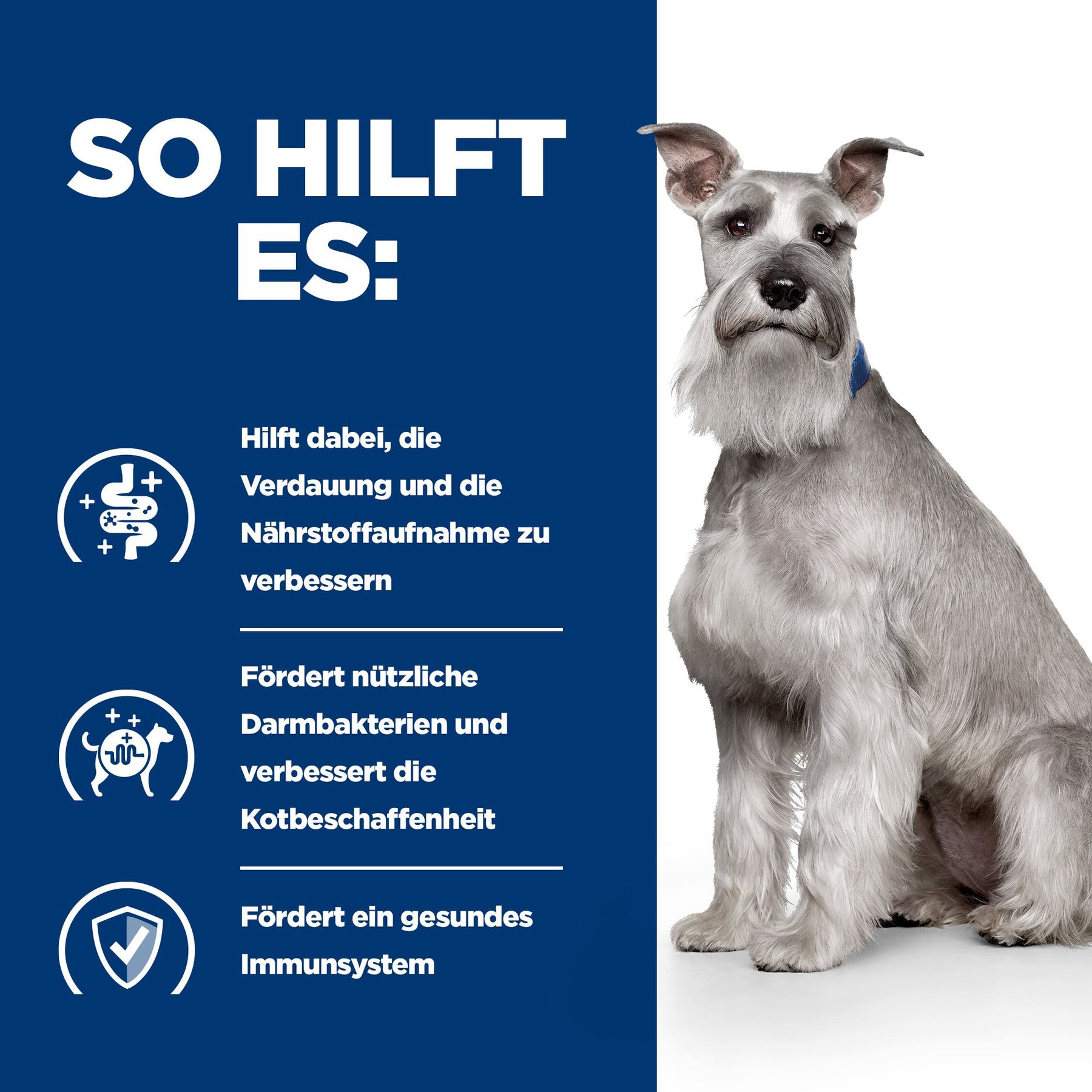 i/d Low Fat Original Hundefutter Wie es hilft
