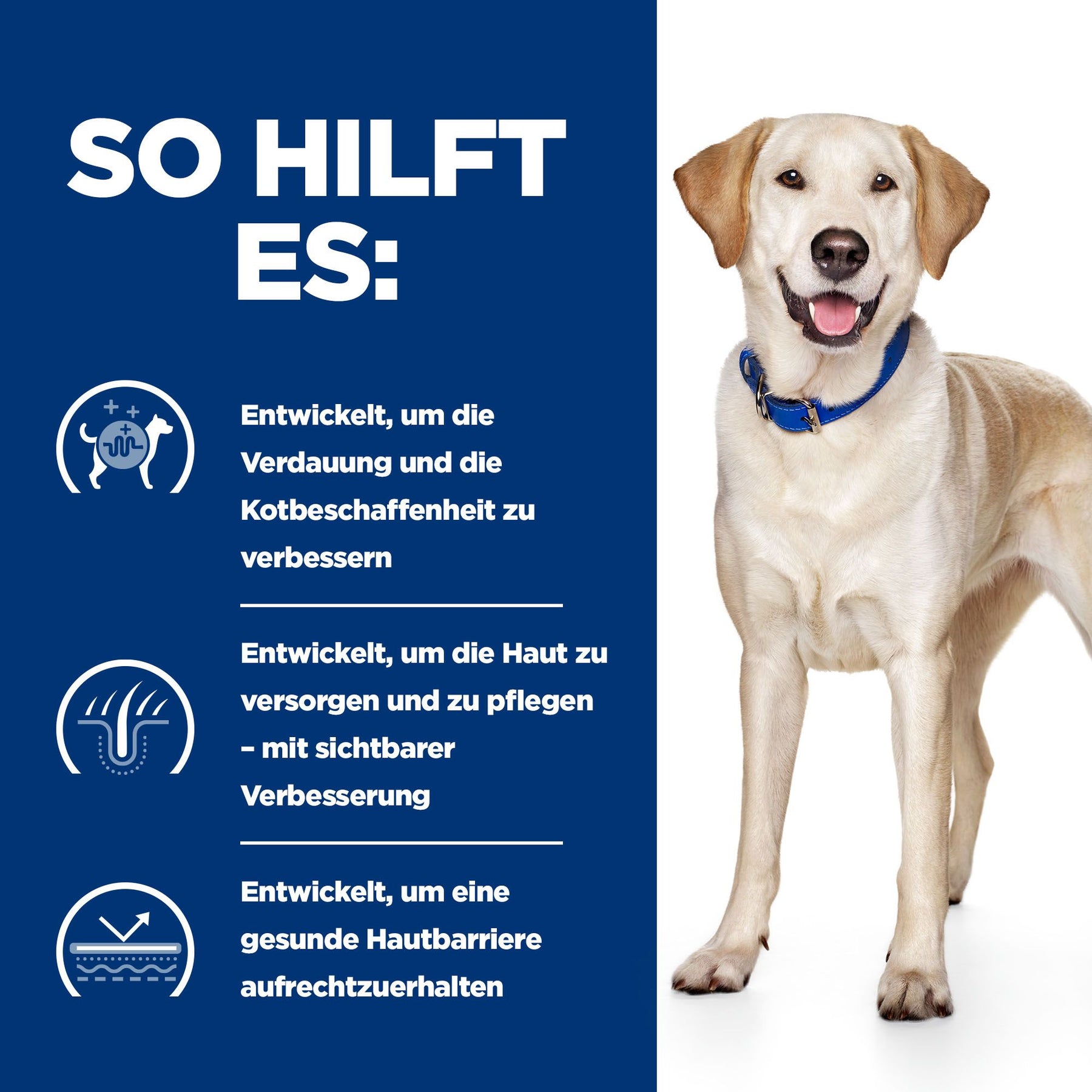 d/d Hunde Trockenfutter Ente & Reis Wie es hilft