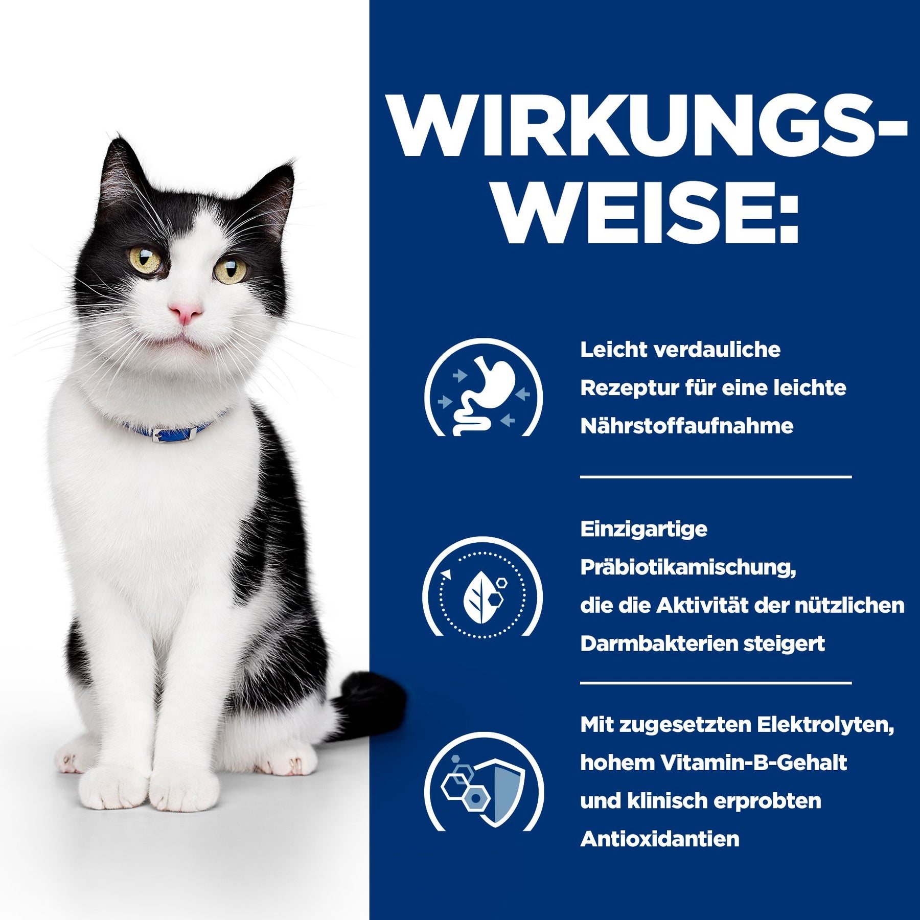 i/d Ragout für Katzen Wie es wirkt