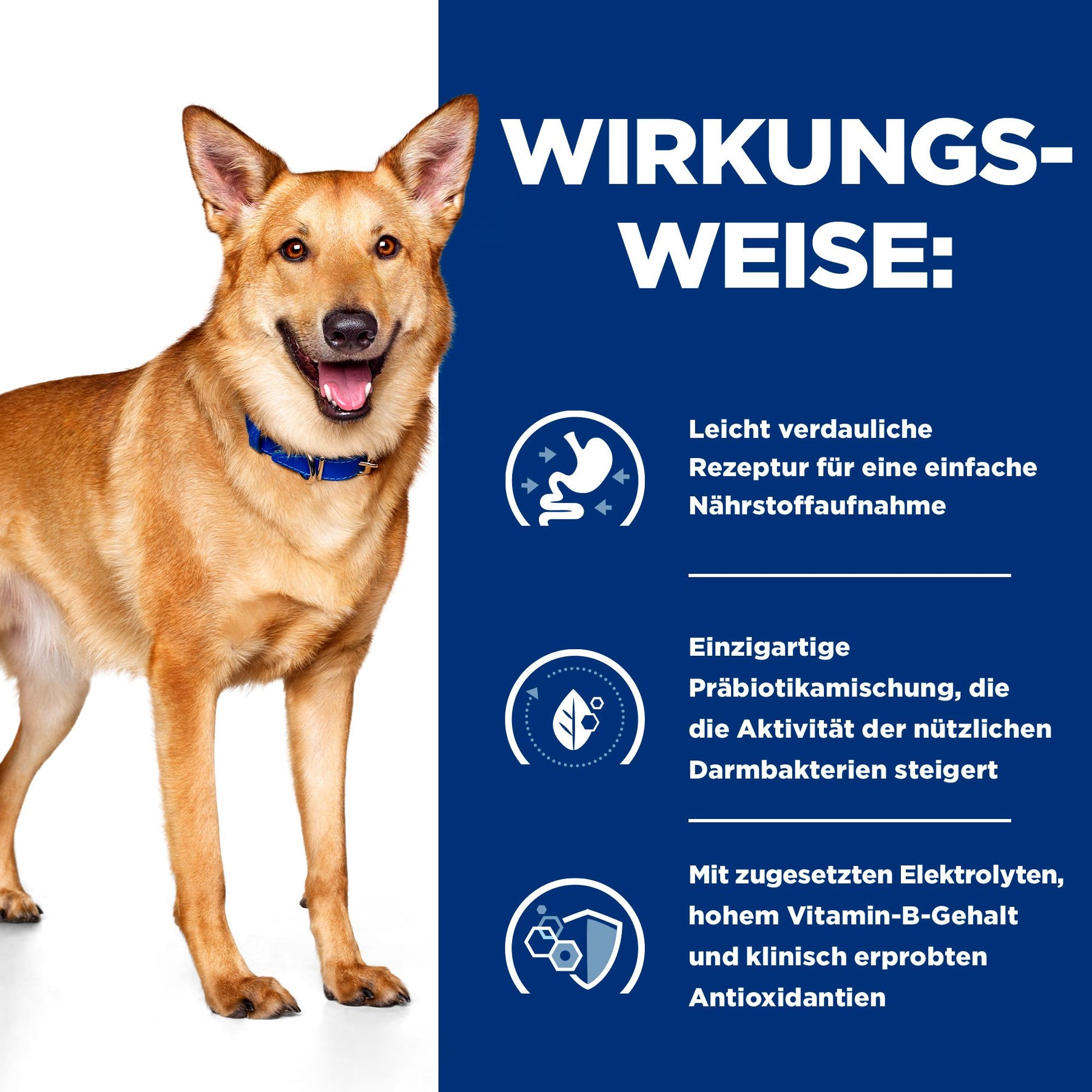 i/d Hundefutter Wie es wirkt