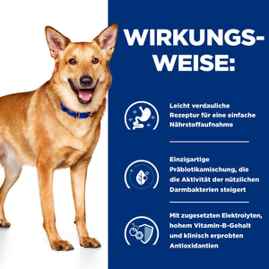 i/d Hundefutter Wie es wirkt