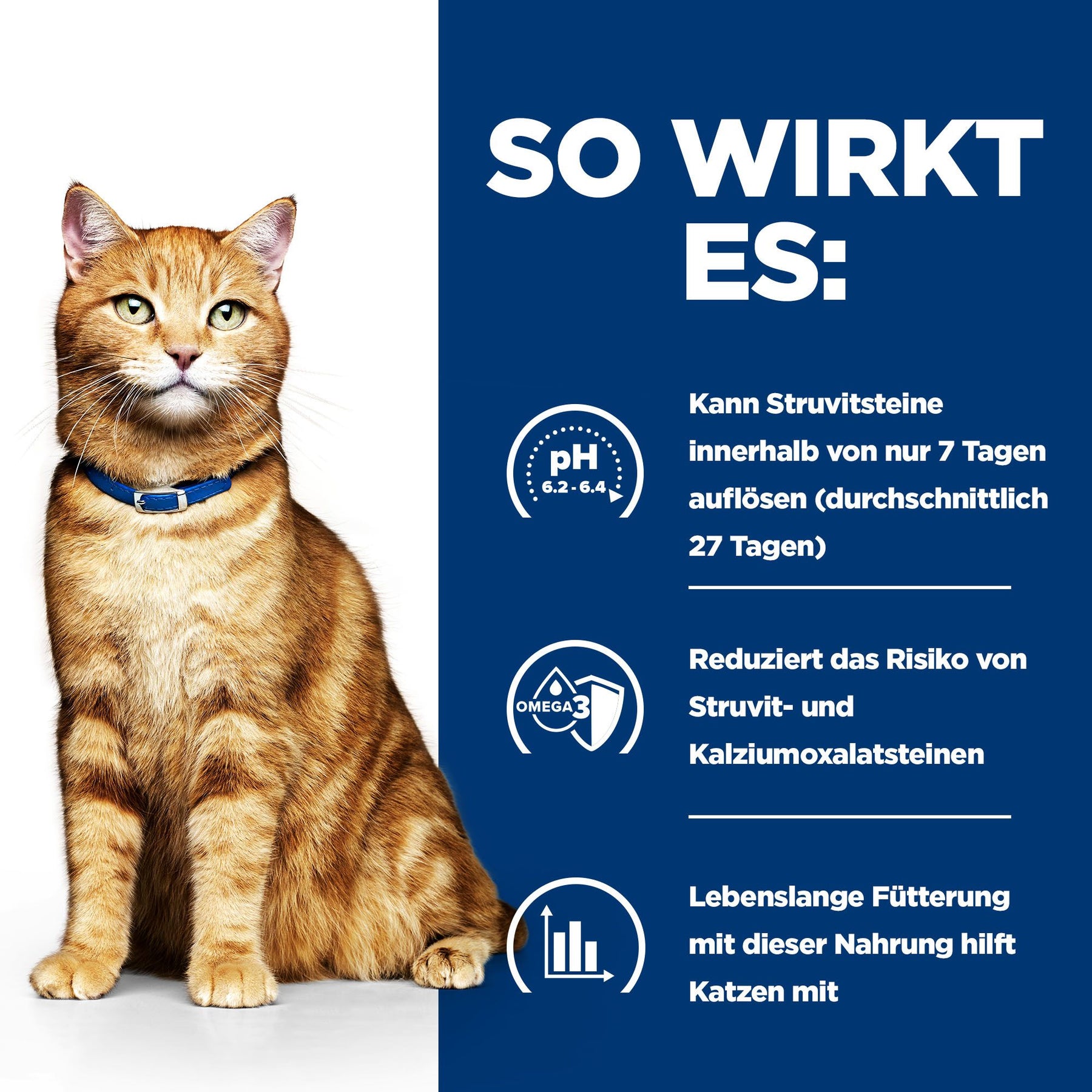 c/d Multicare Ragout für Katzen Wie es wirkt