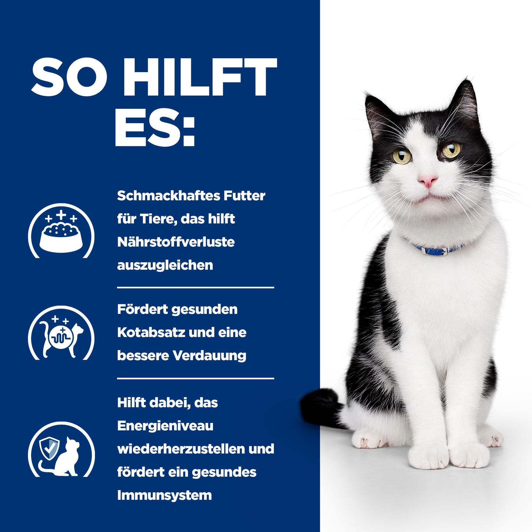 i/d Nassfutter für Katzen mit Lachs Wie es hilft