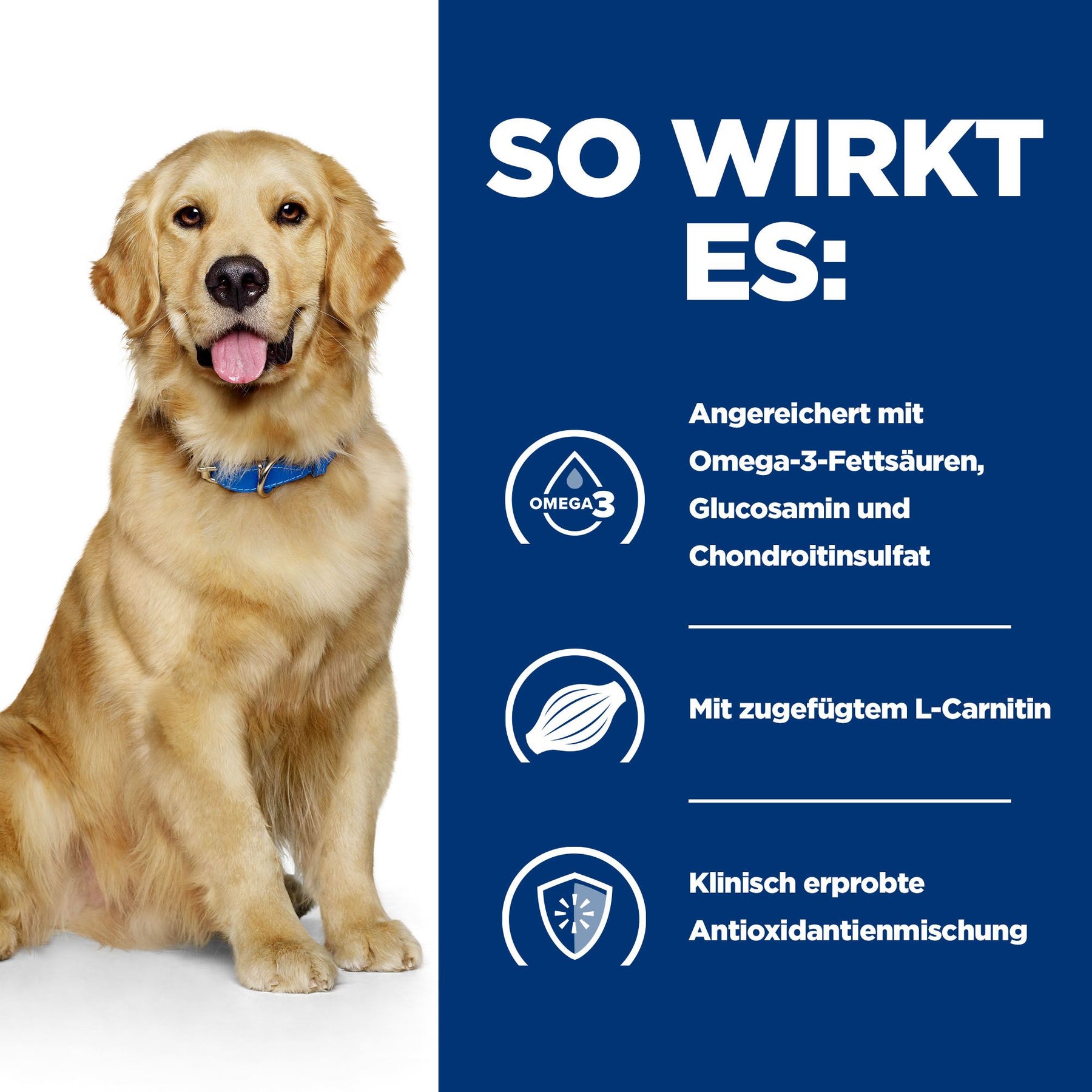 j/d Nassfutter für Hunde mit Huhn Wie es wirkt