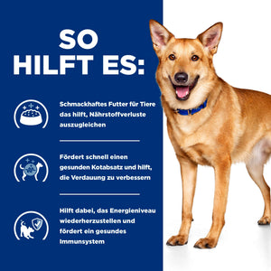 i/d Hundefutter Wie es hilft