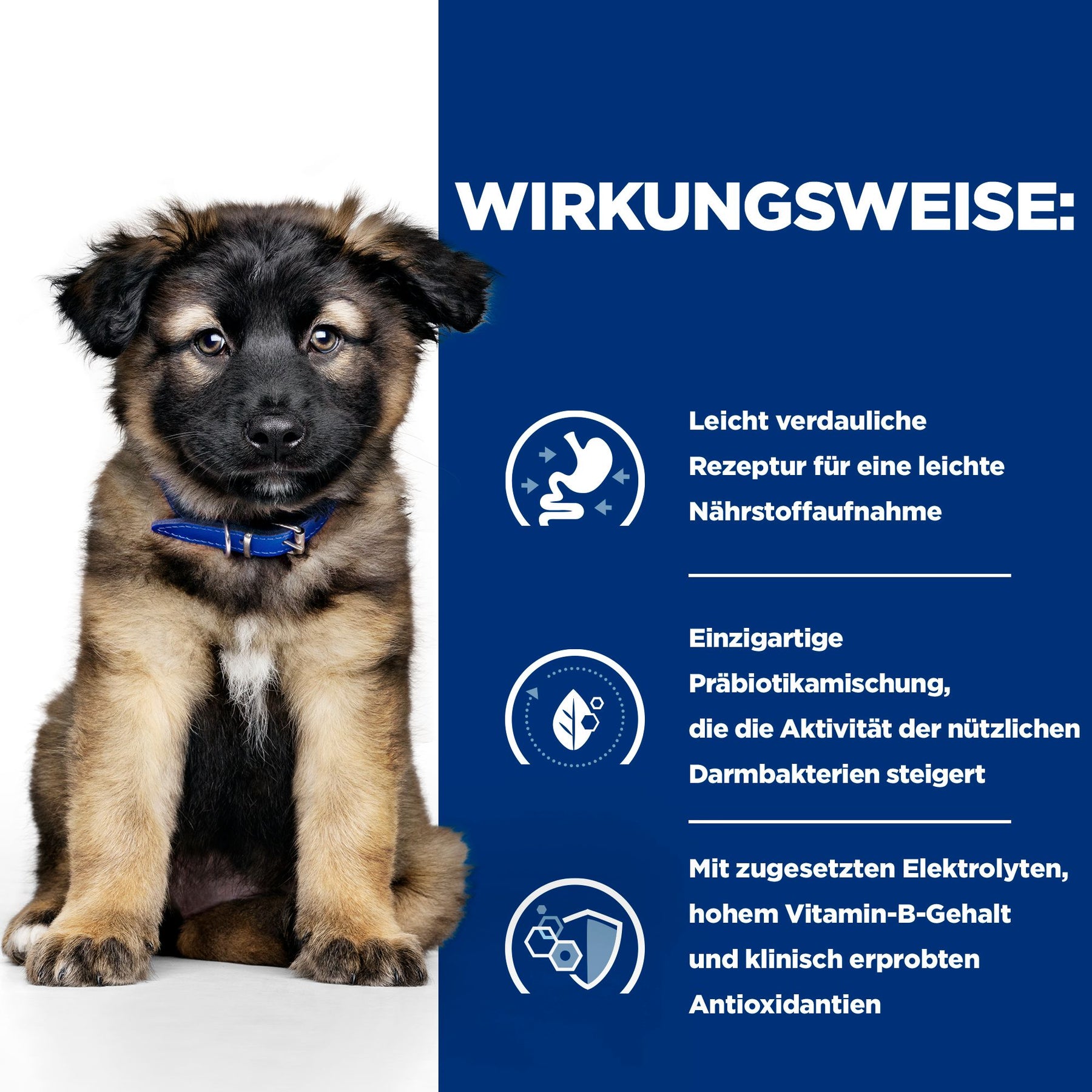 i/d Puppy Welpenfutter How It Works