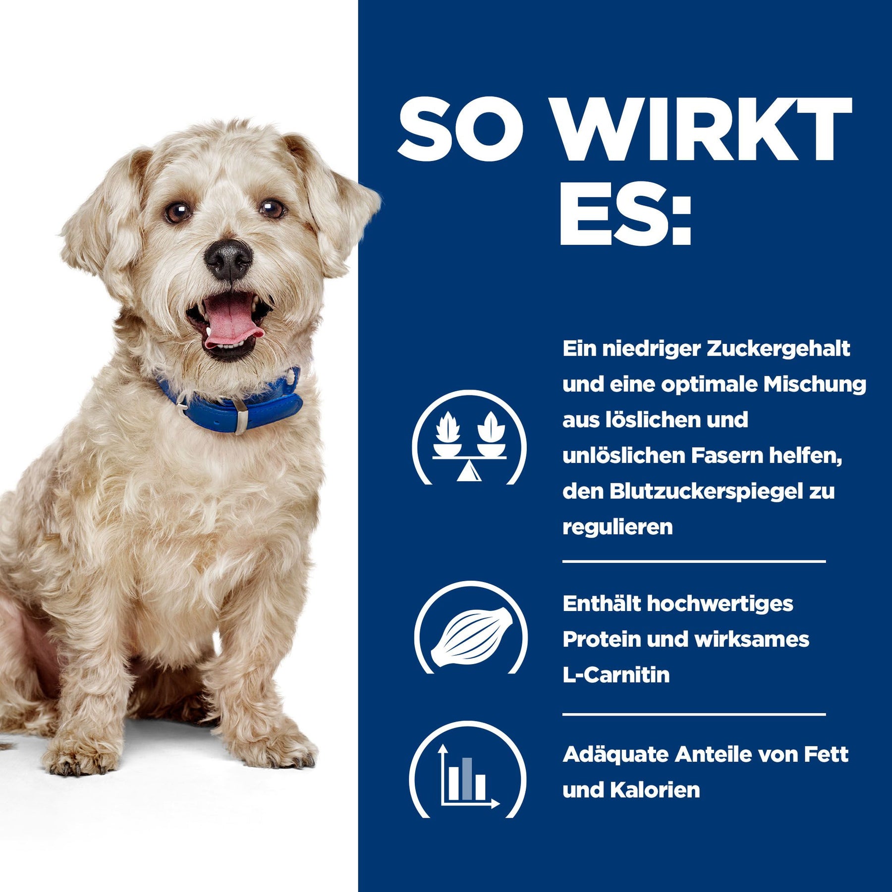 w/d Trockenfutter für Hunde mit Huhn Wie es wirkt