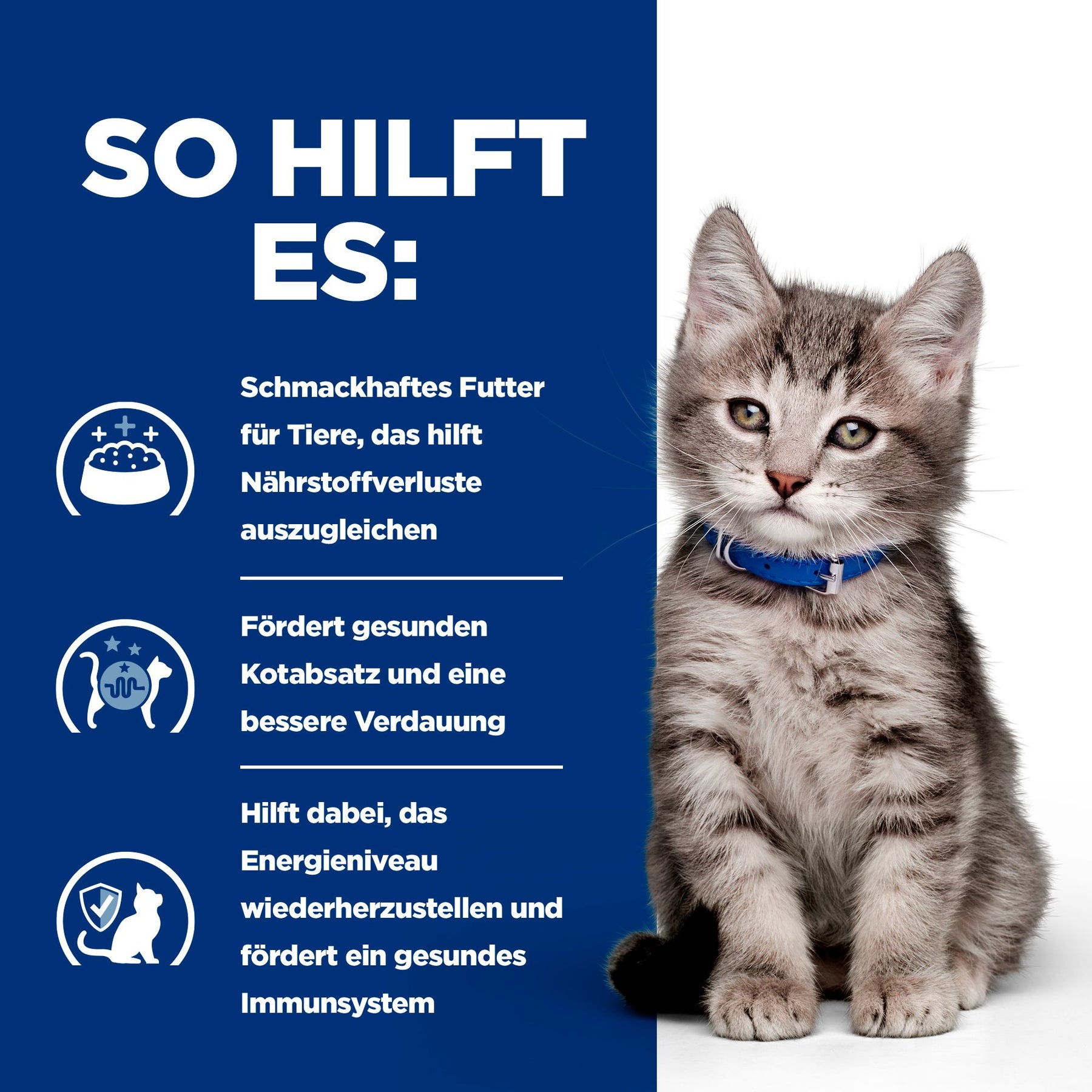 i/d Kätzchenfutter Wie es hilft