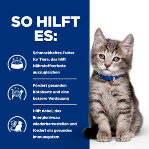 i/d Kätzchenfutter Wie es hilft