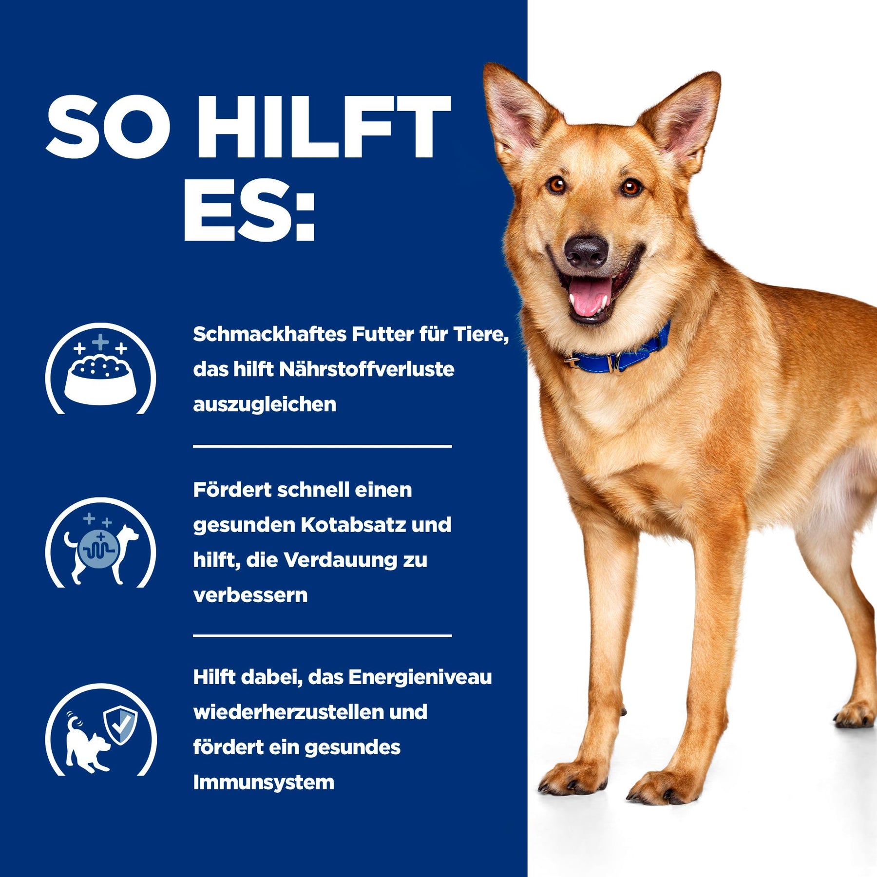 i/d Ragout für Hunde Wie es hilft
